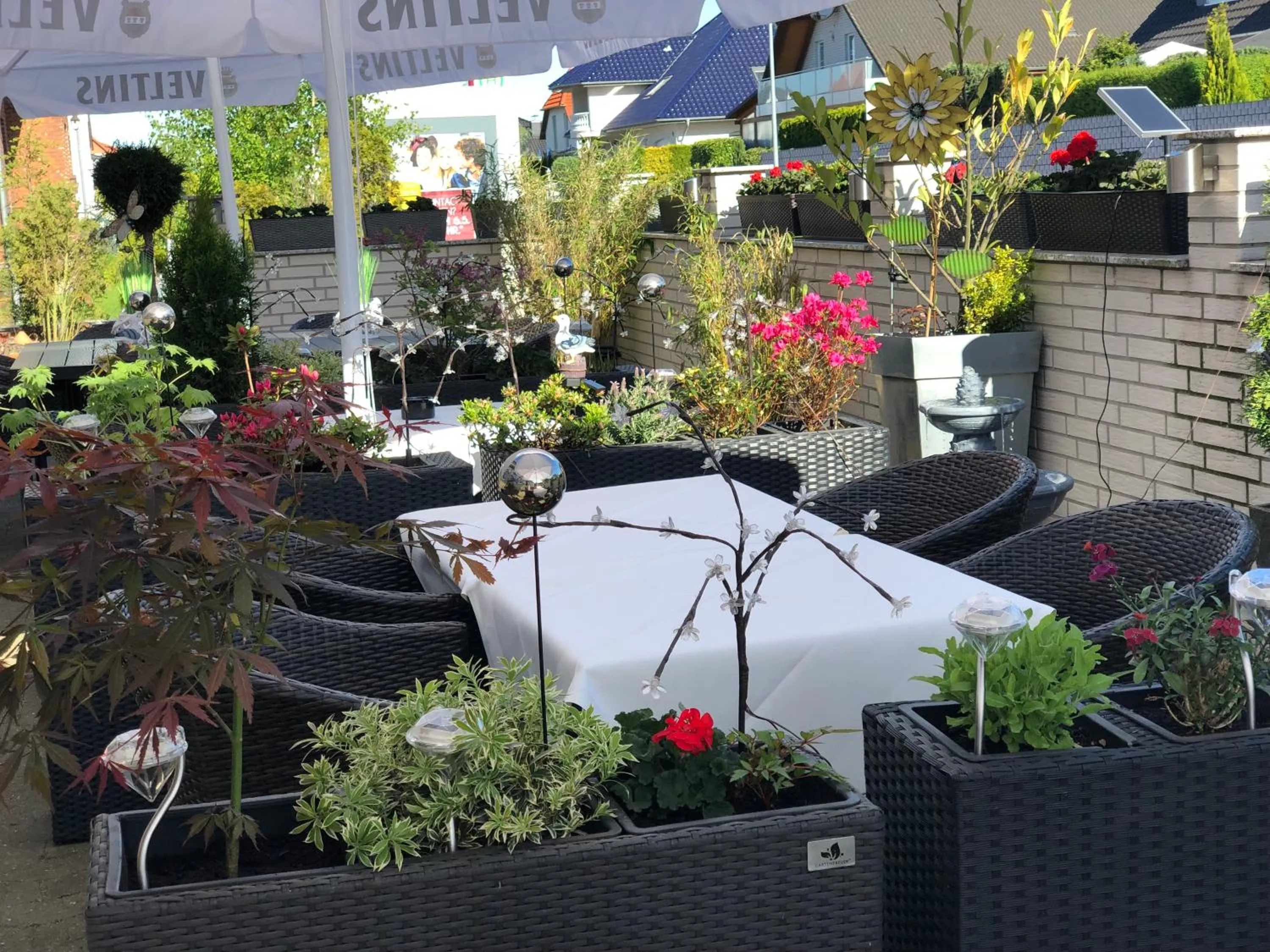 Balcony/Terrace in Hotel & Restaurant Blume