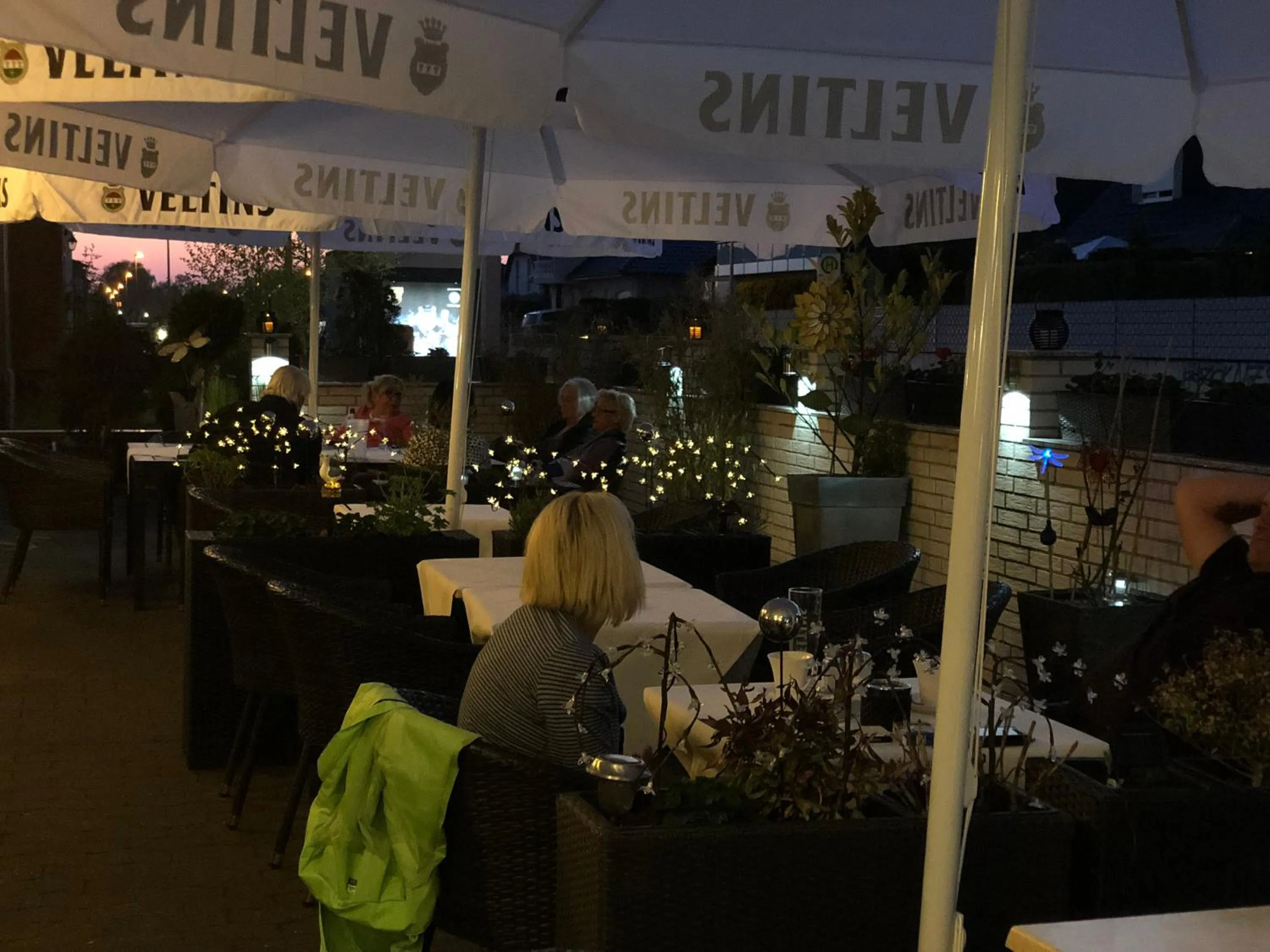 BBQ facilities in Hotel & Restaurant Blume