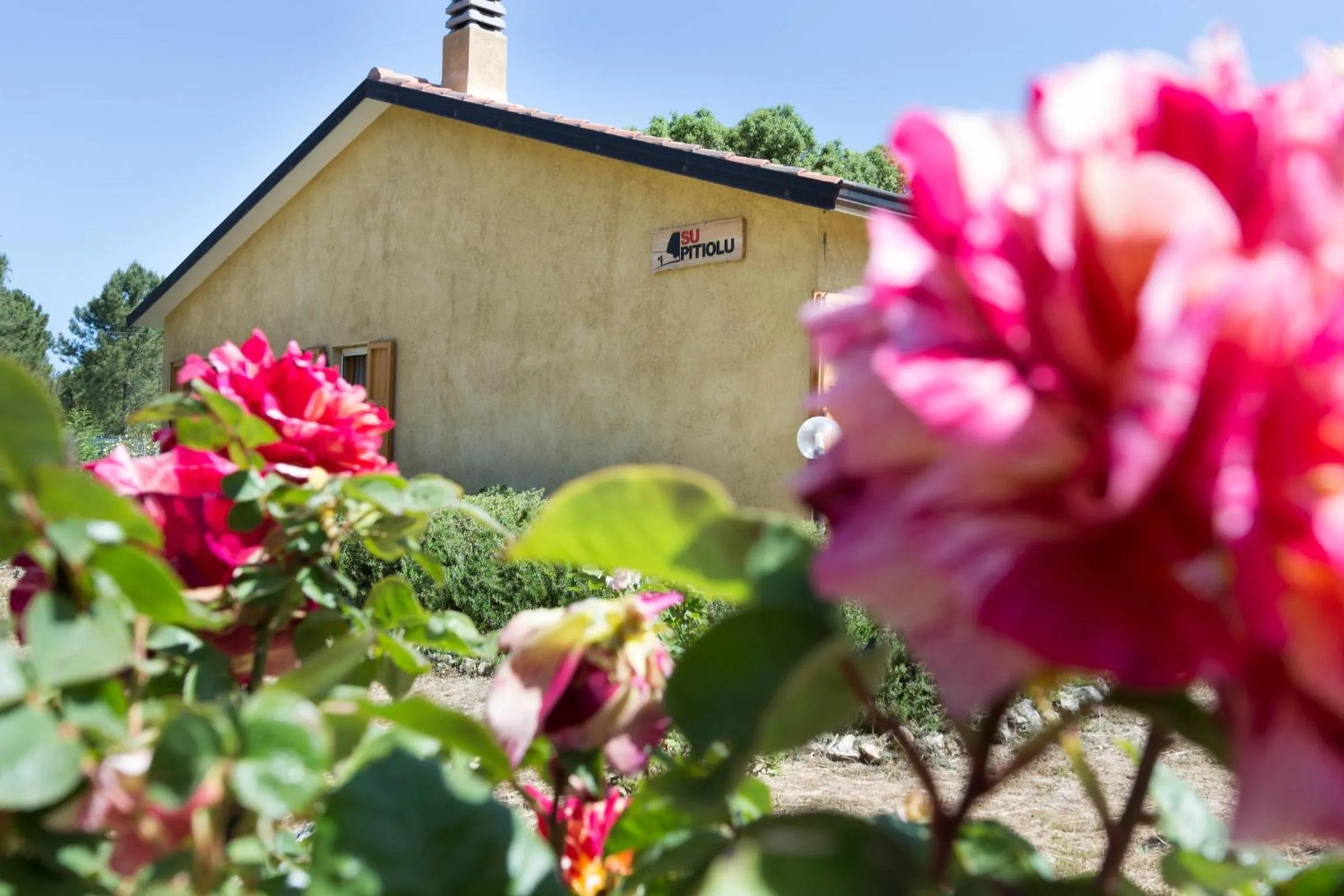Garden in Su Pitiolu - casa vacanze