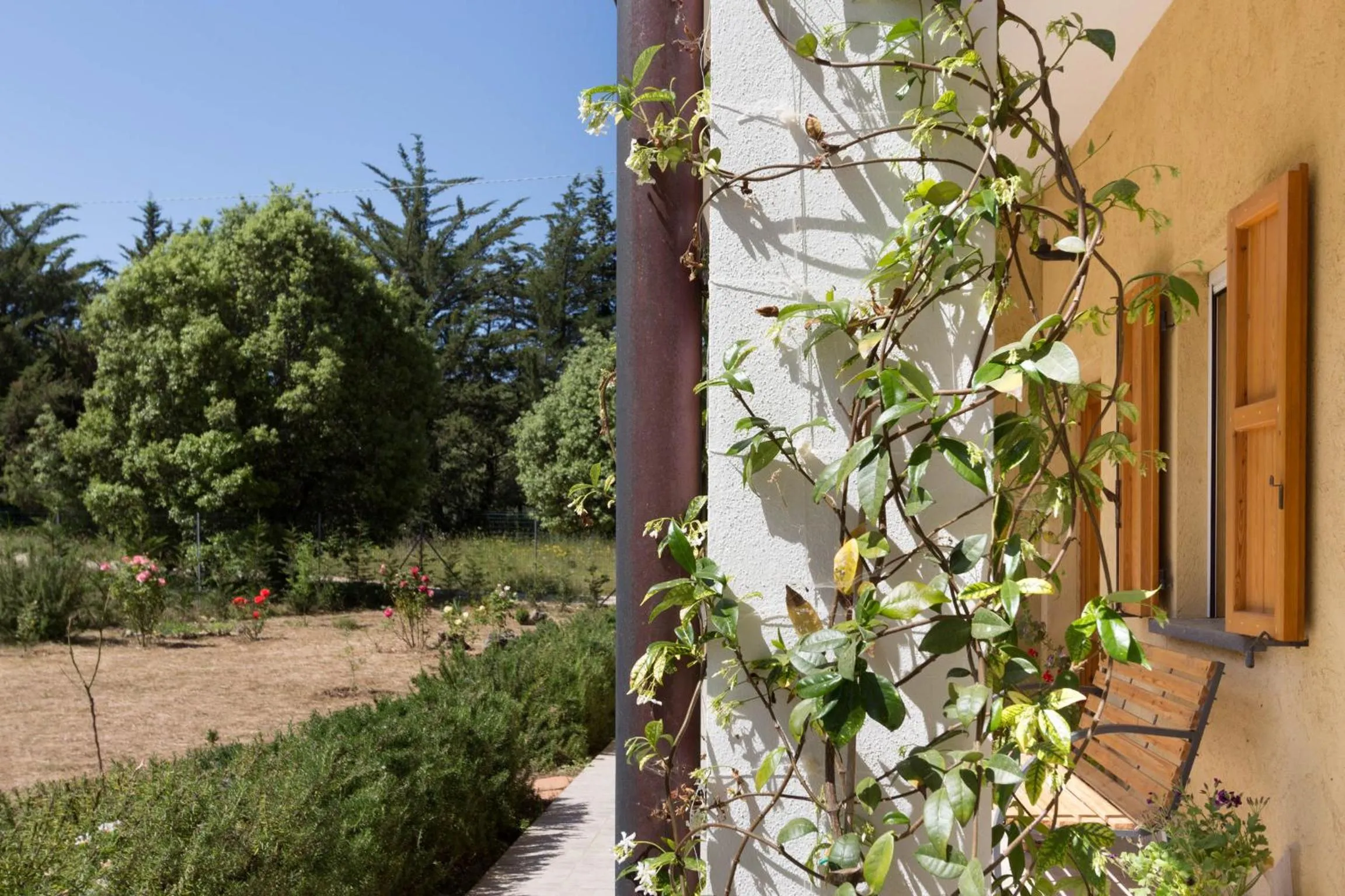 Patio in Su Pitiolu - casa vacanze
