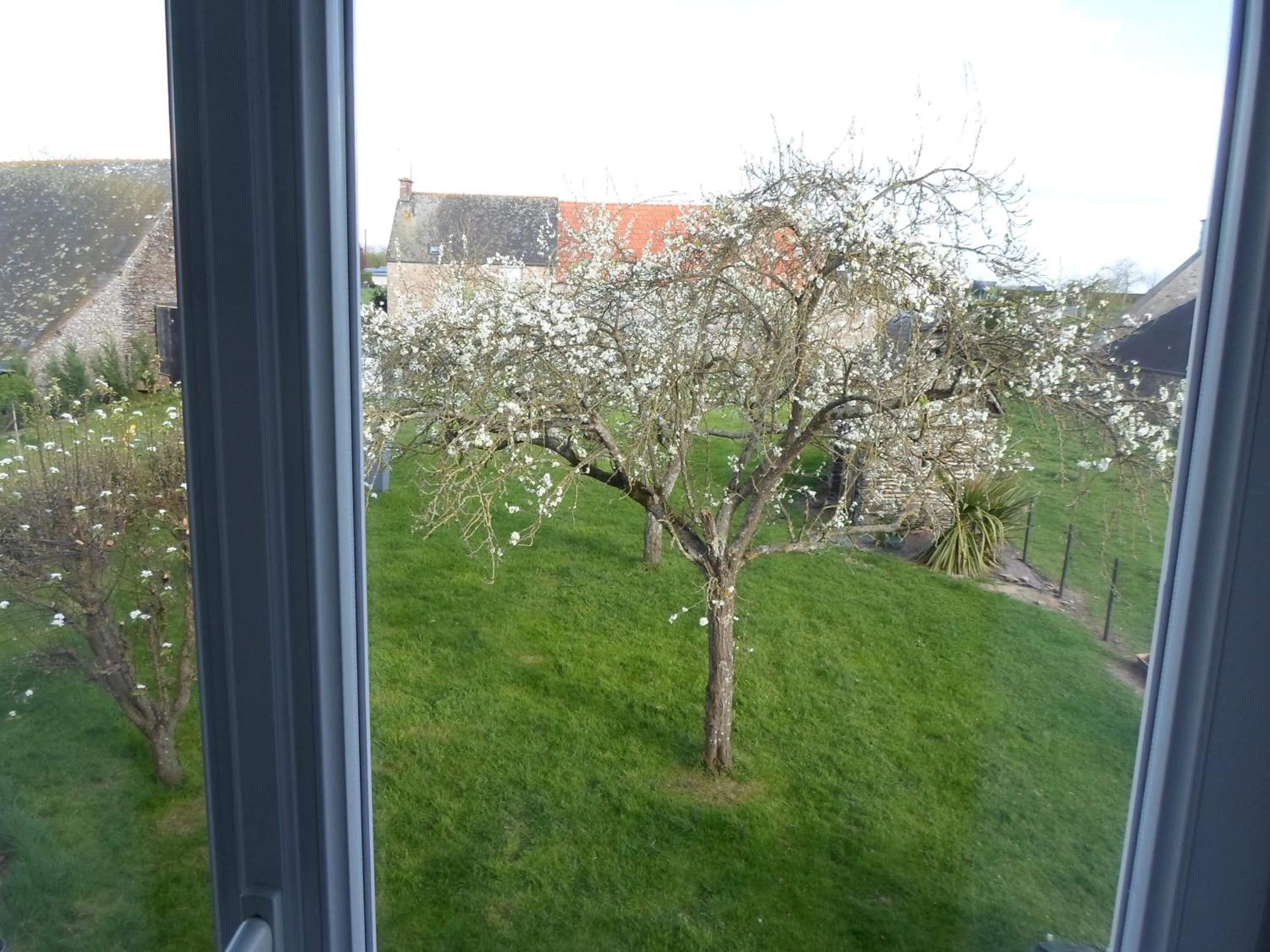 View (from property/room) in Les Colombes de la Baie du Mont Saint-Michel