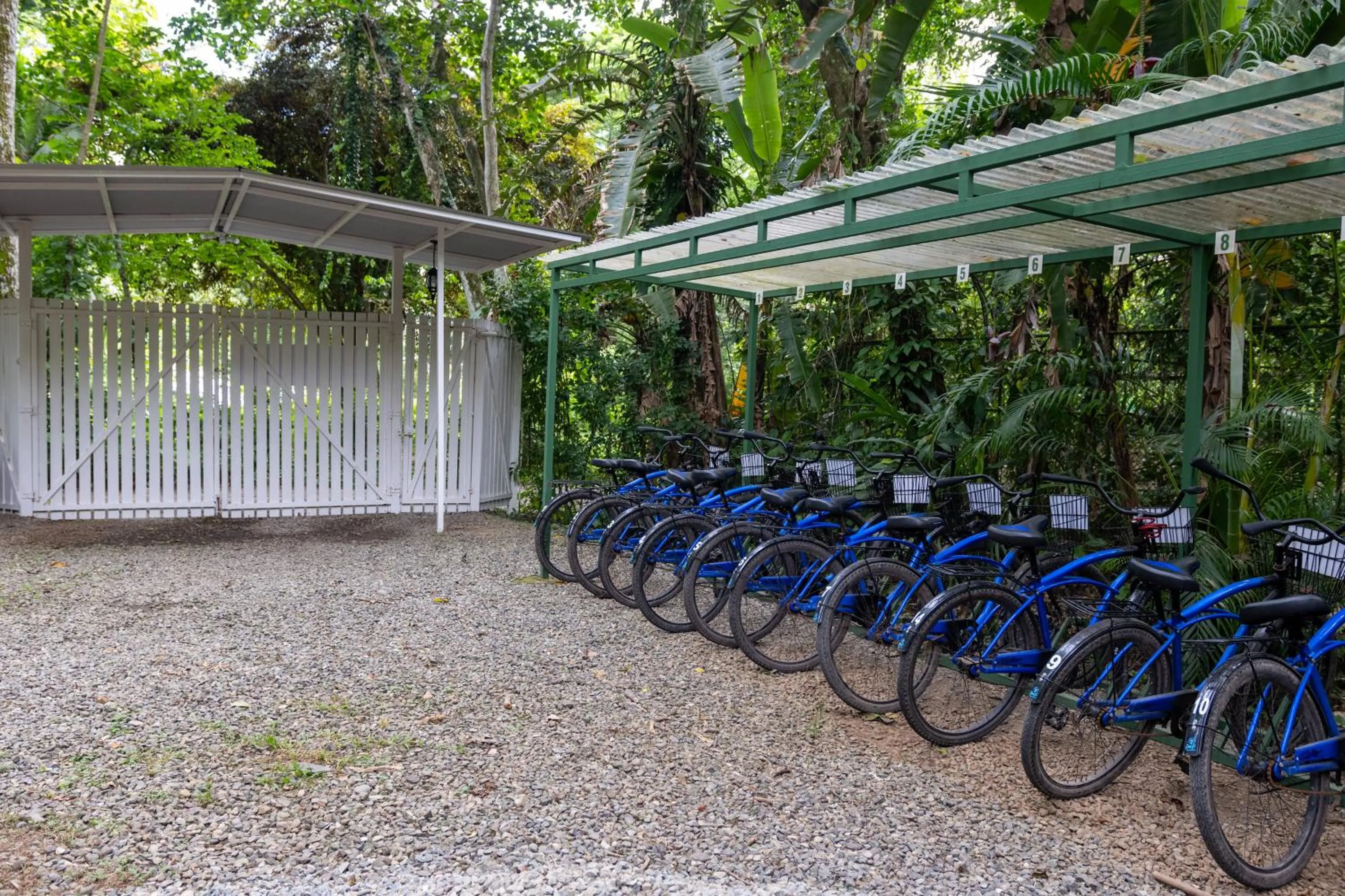 Garden in Jaguar Inn Bungalows