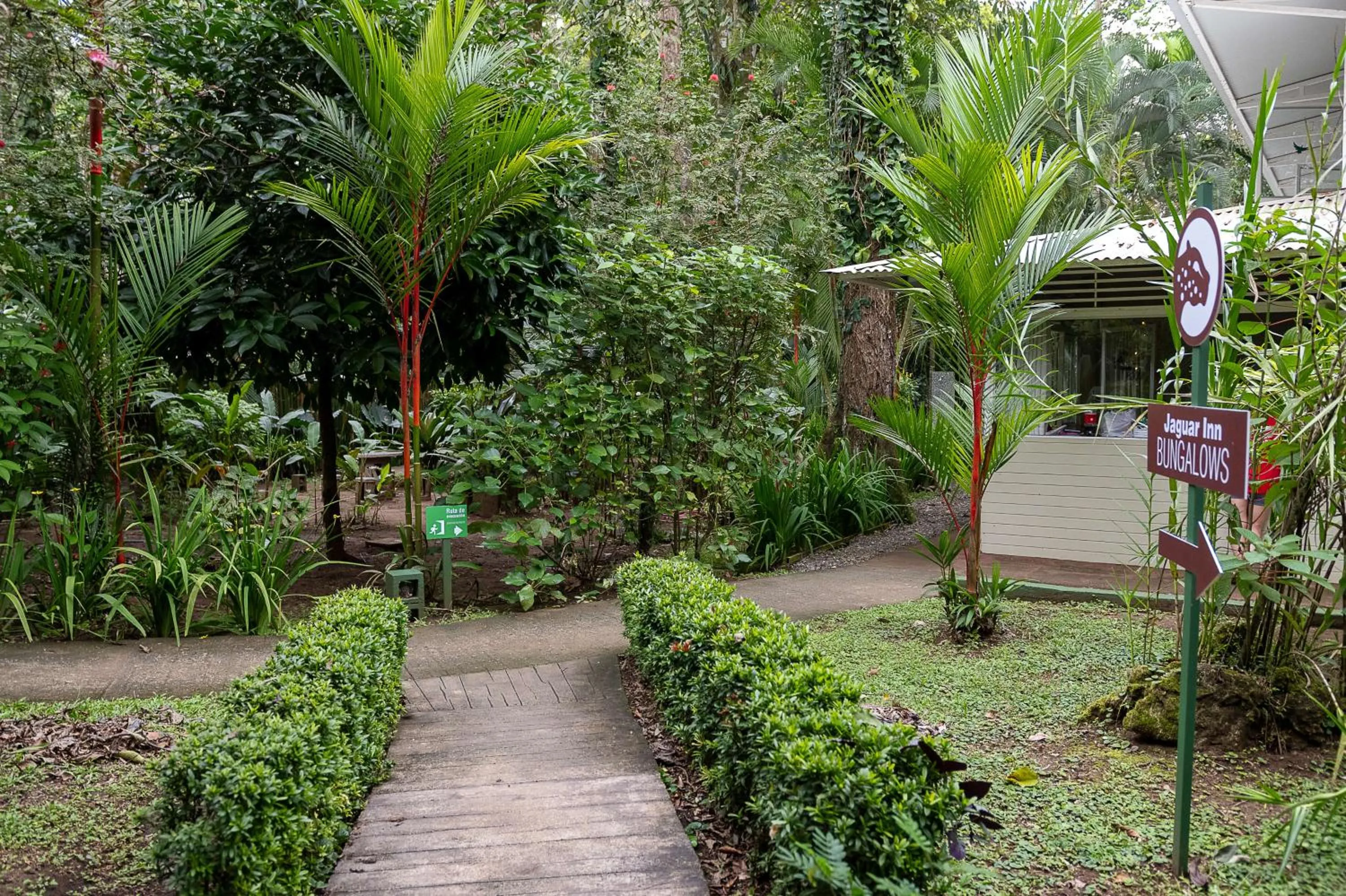 Garden in Jaguar Inn Bungalows