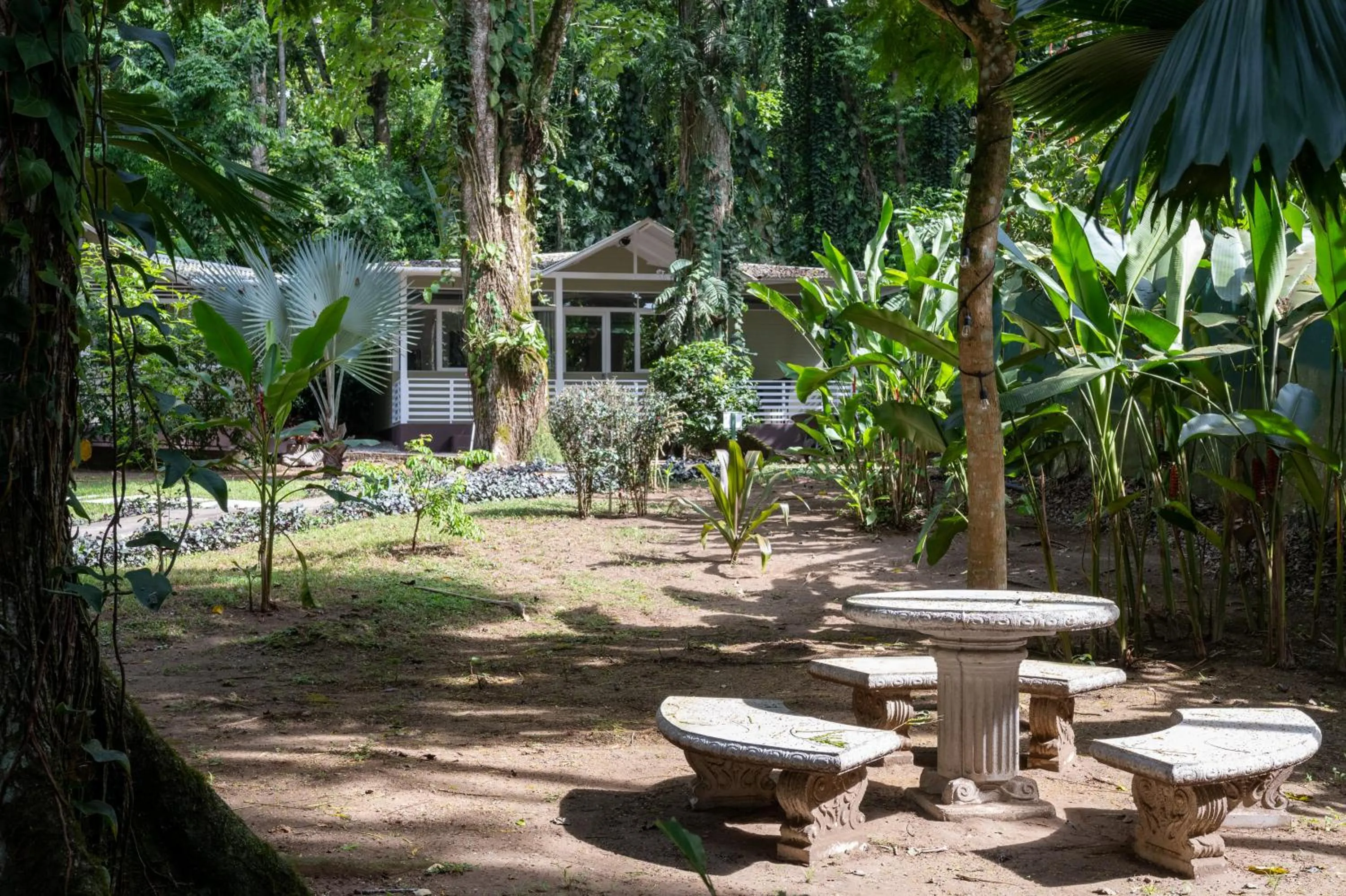 Garden in Jaguar Inn Bungalows