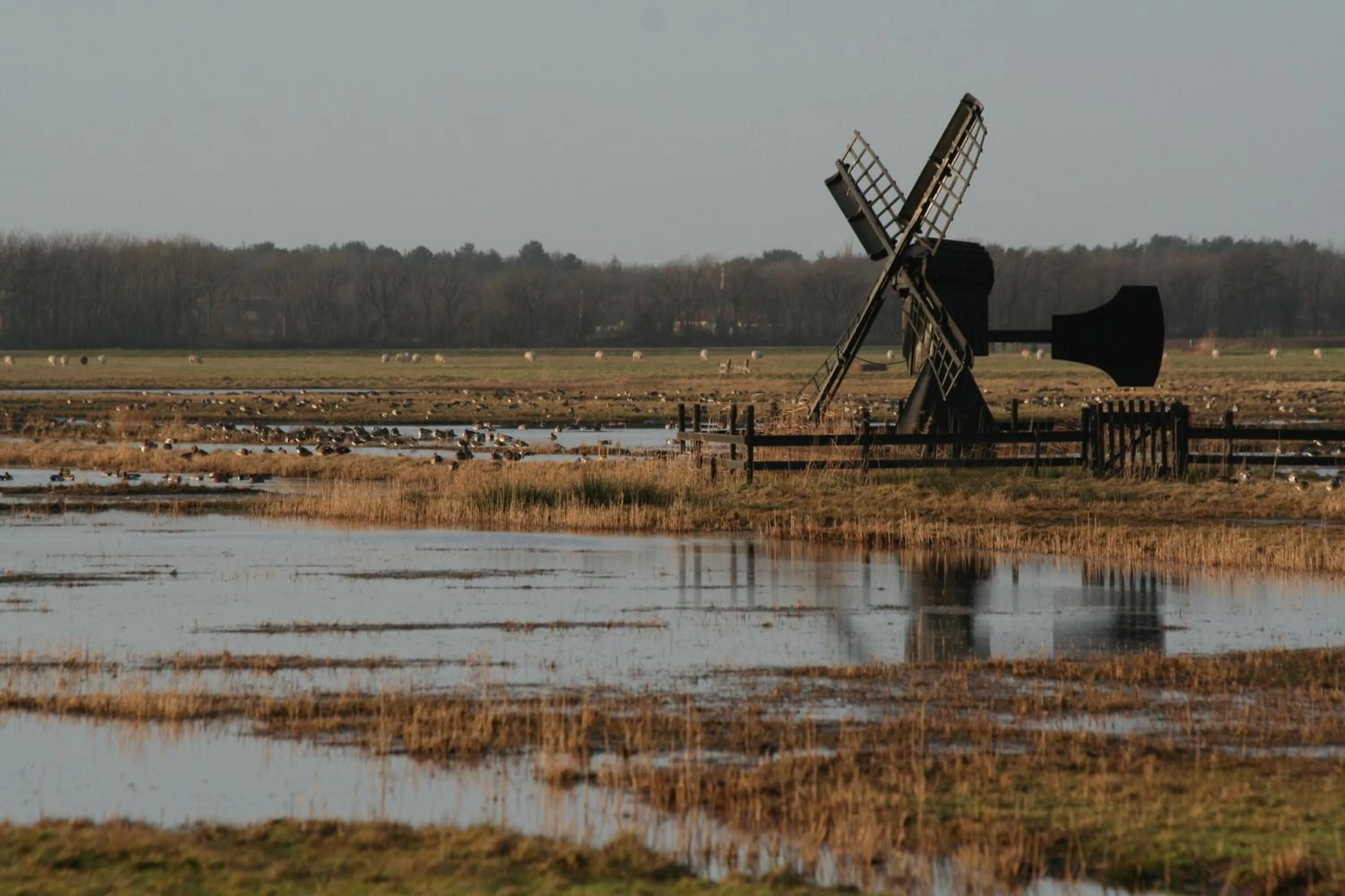 Area and facilities in 't lant van Texsel