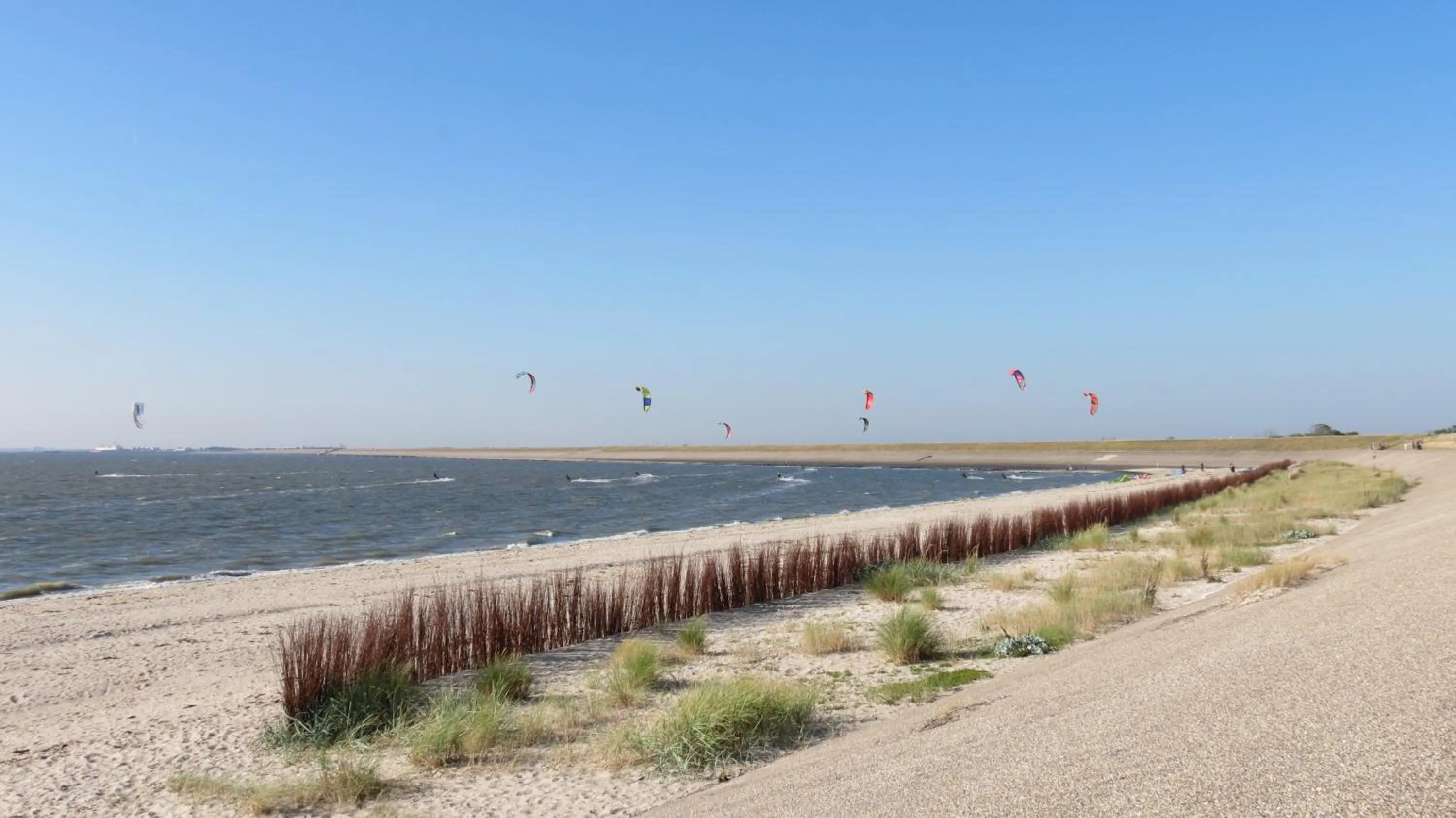 Sports in 't lant van Texsel