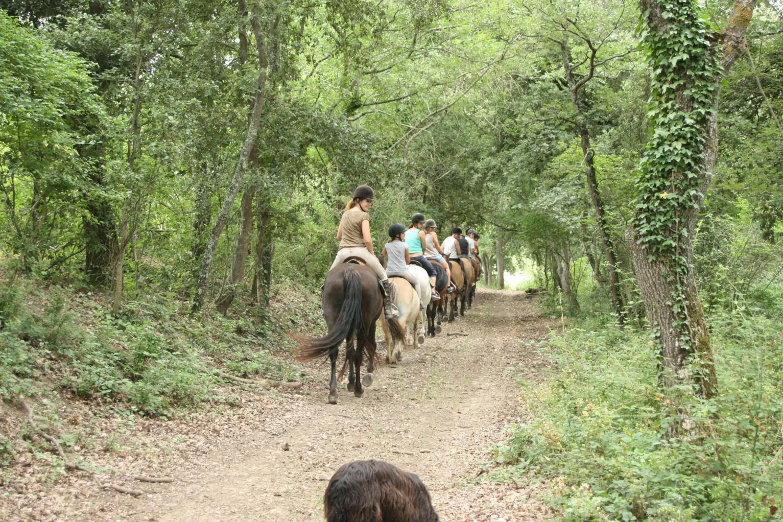 Horse-riding in Domaine De Fraisse