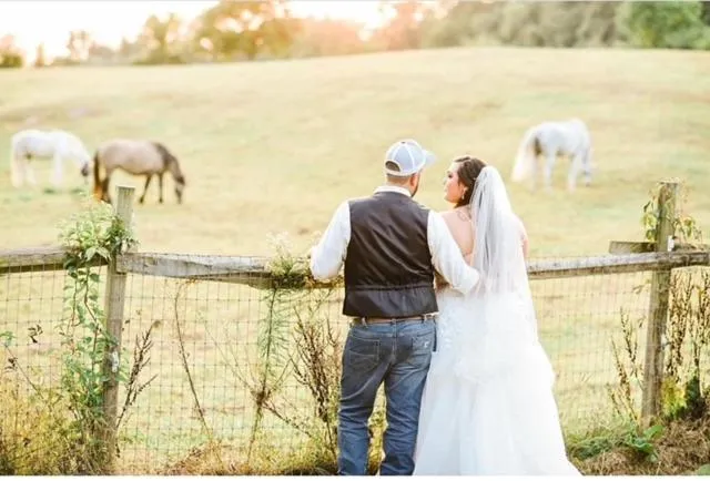 Fallen Tree Farm Bed and Breakfast