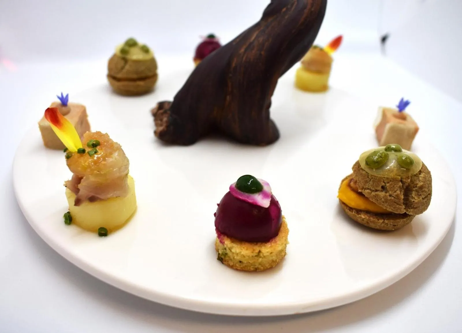 Food and drinks in Château des Vigiers