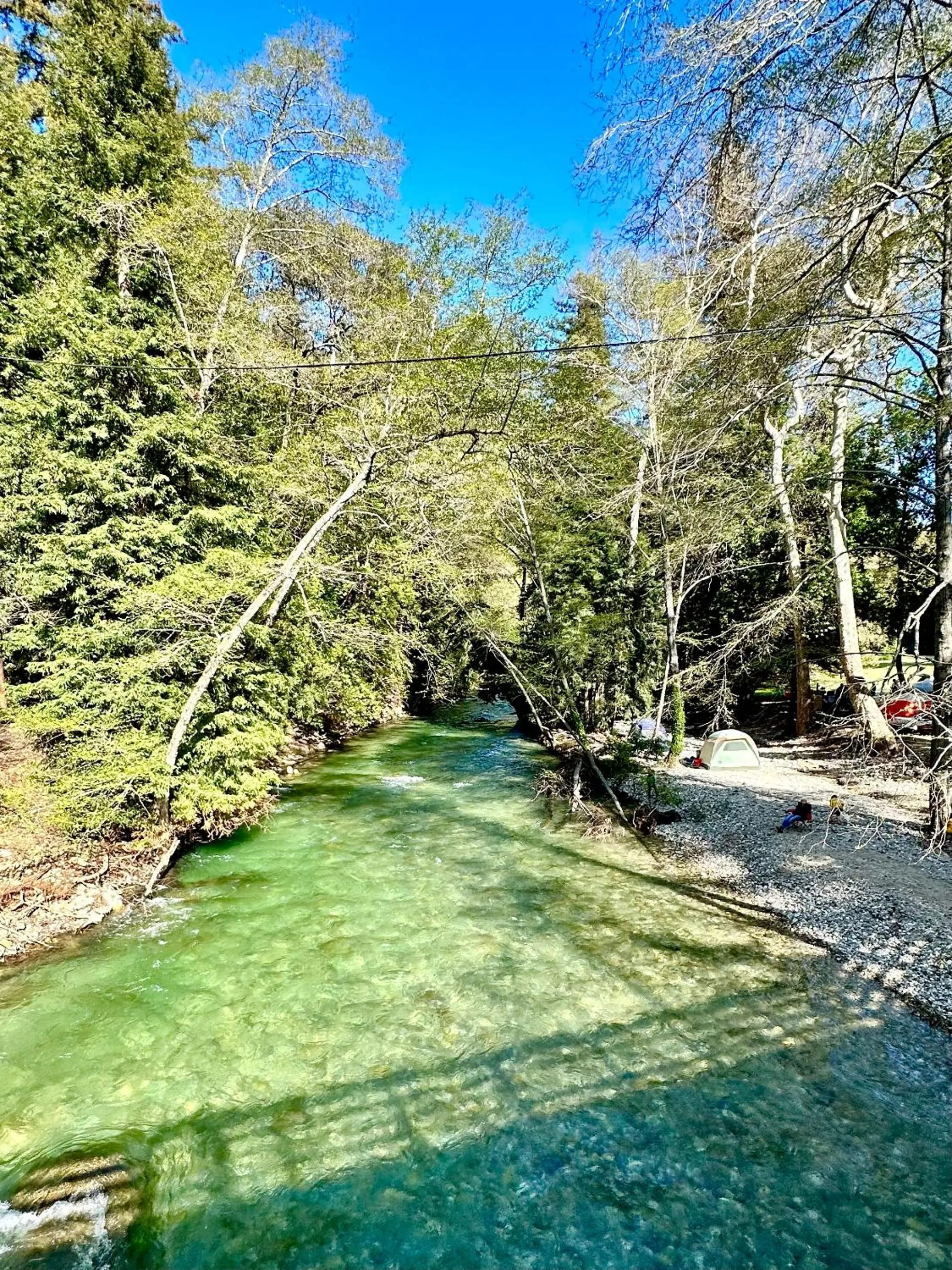 River view in Fernwood Resort
