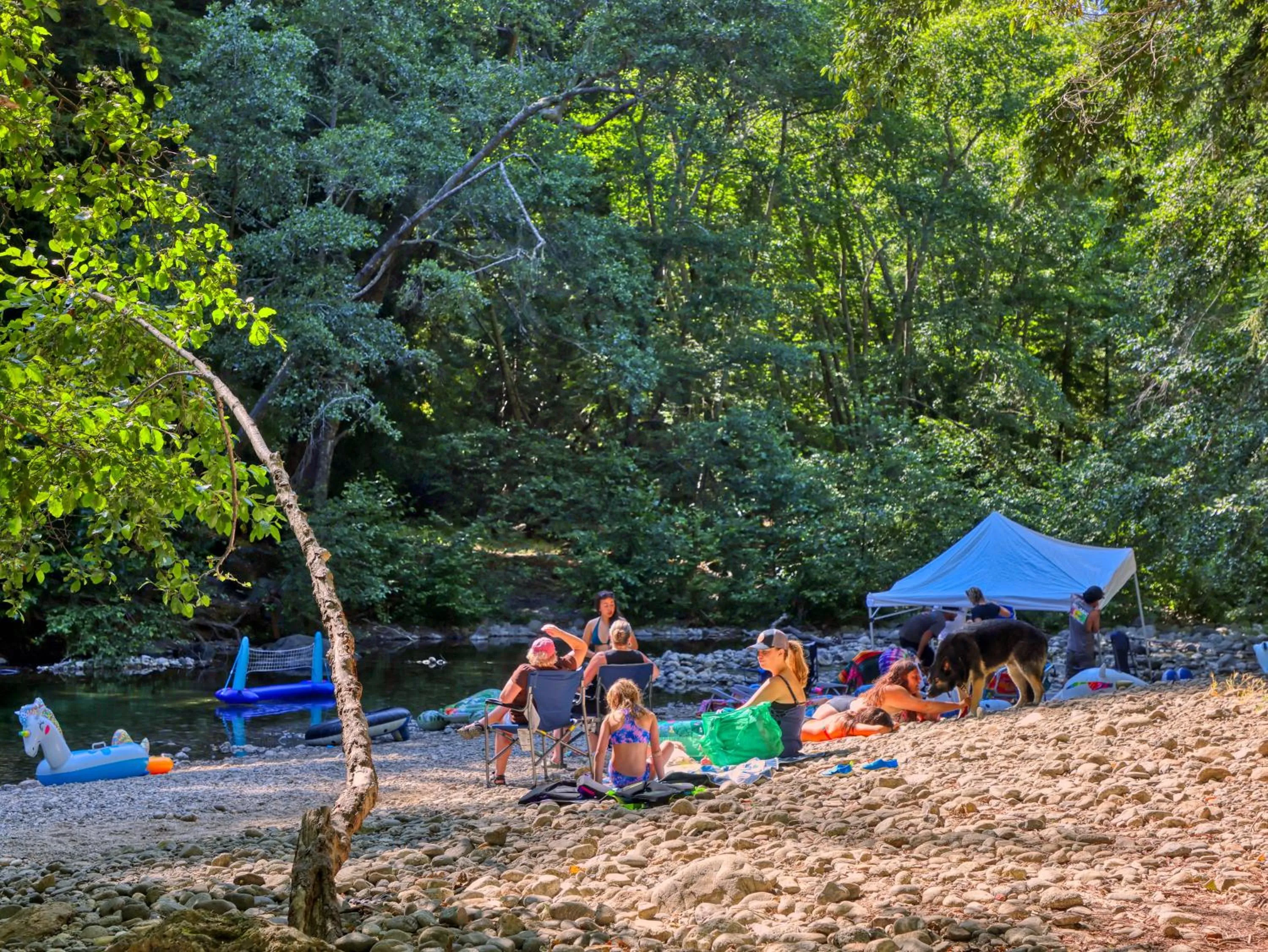 River view in Fernwood Resort