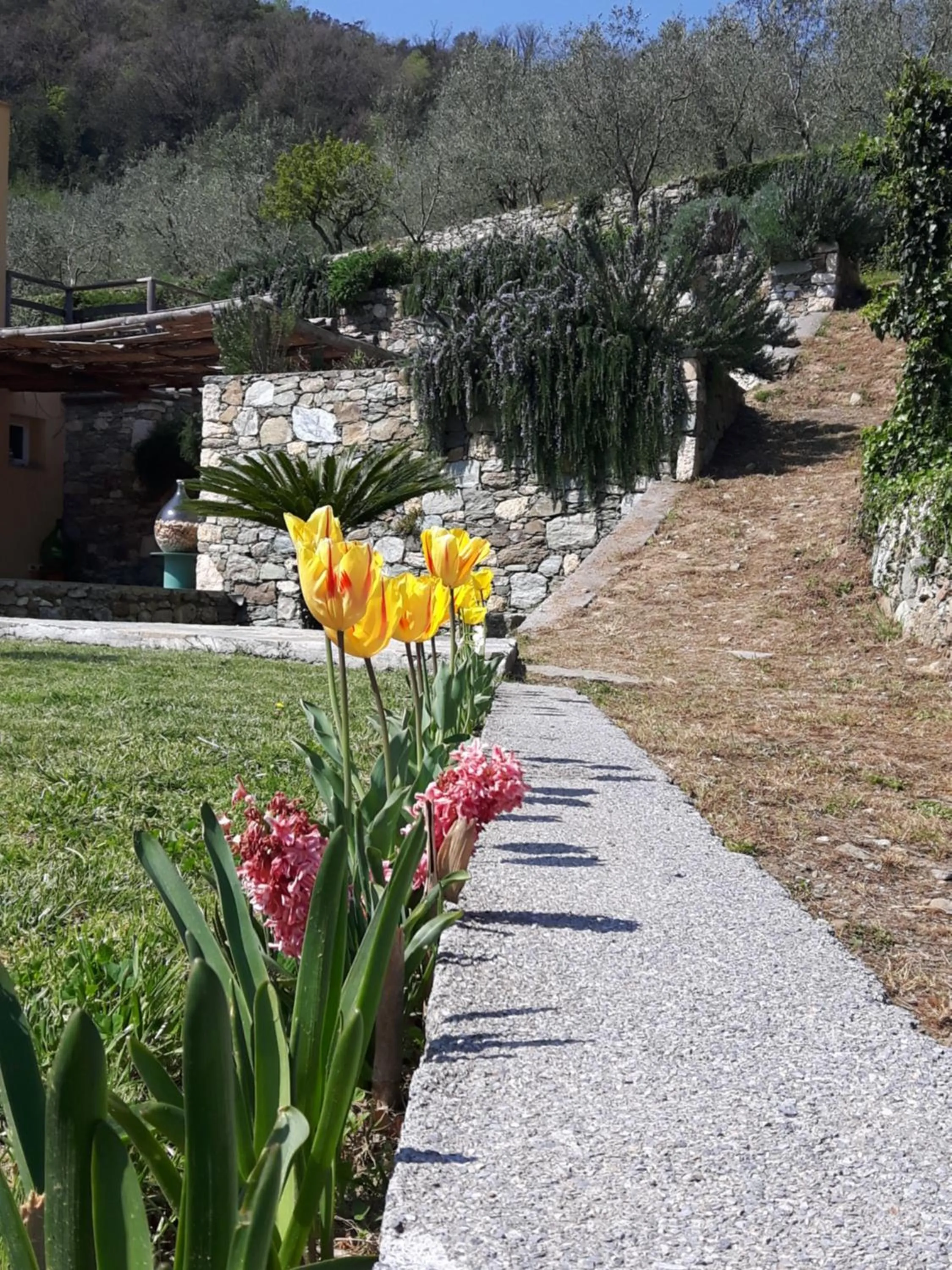 Garden in Ort holiday's time