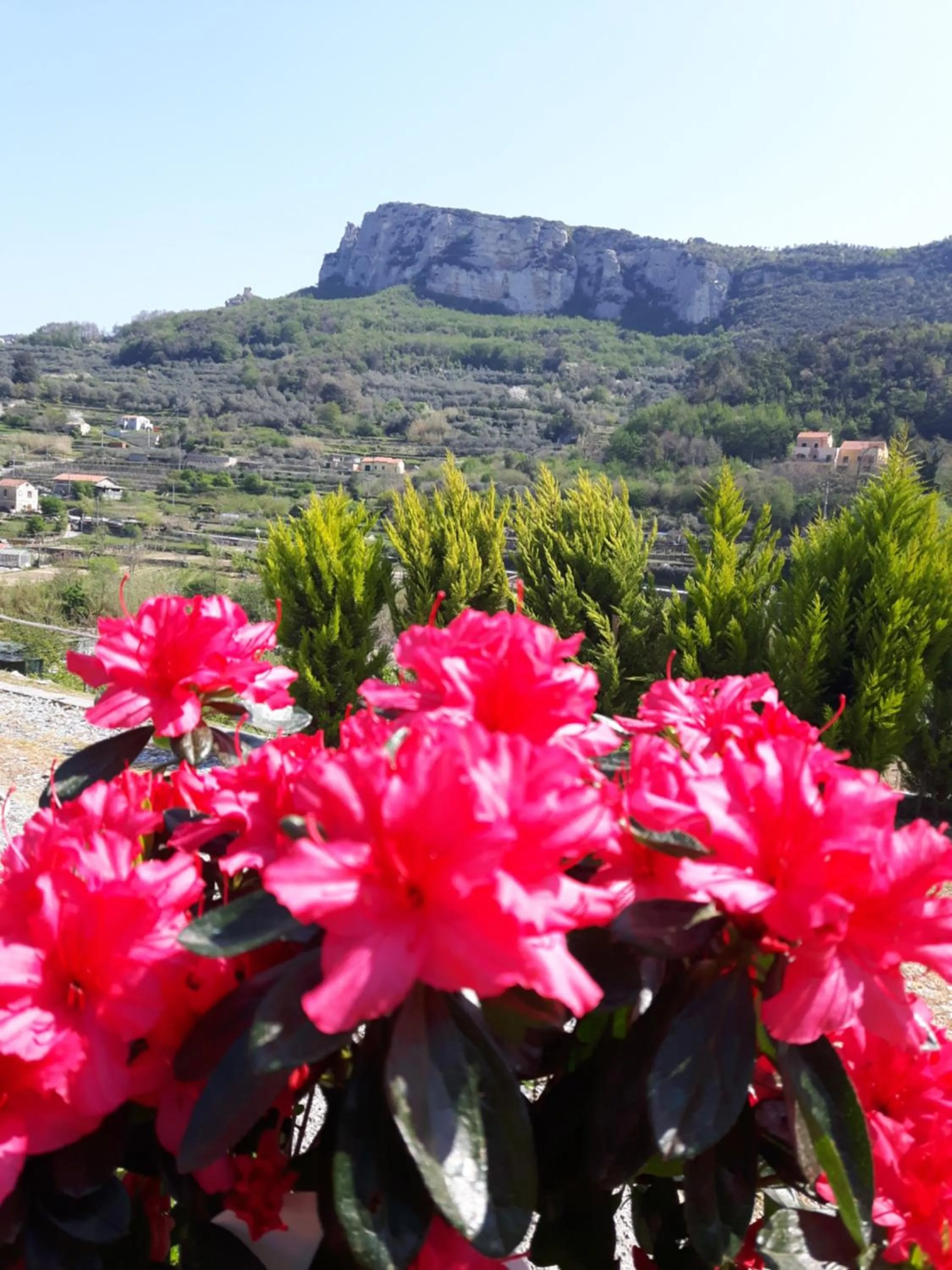 Garden view in Ort holiday's time