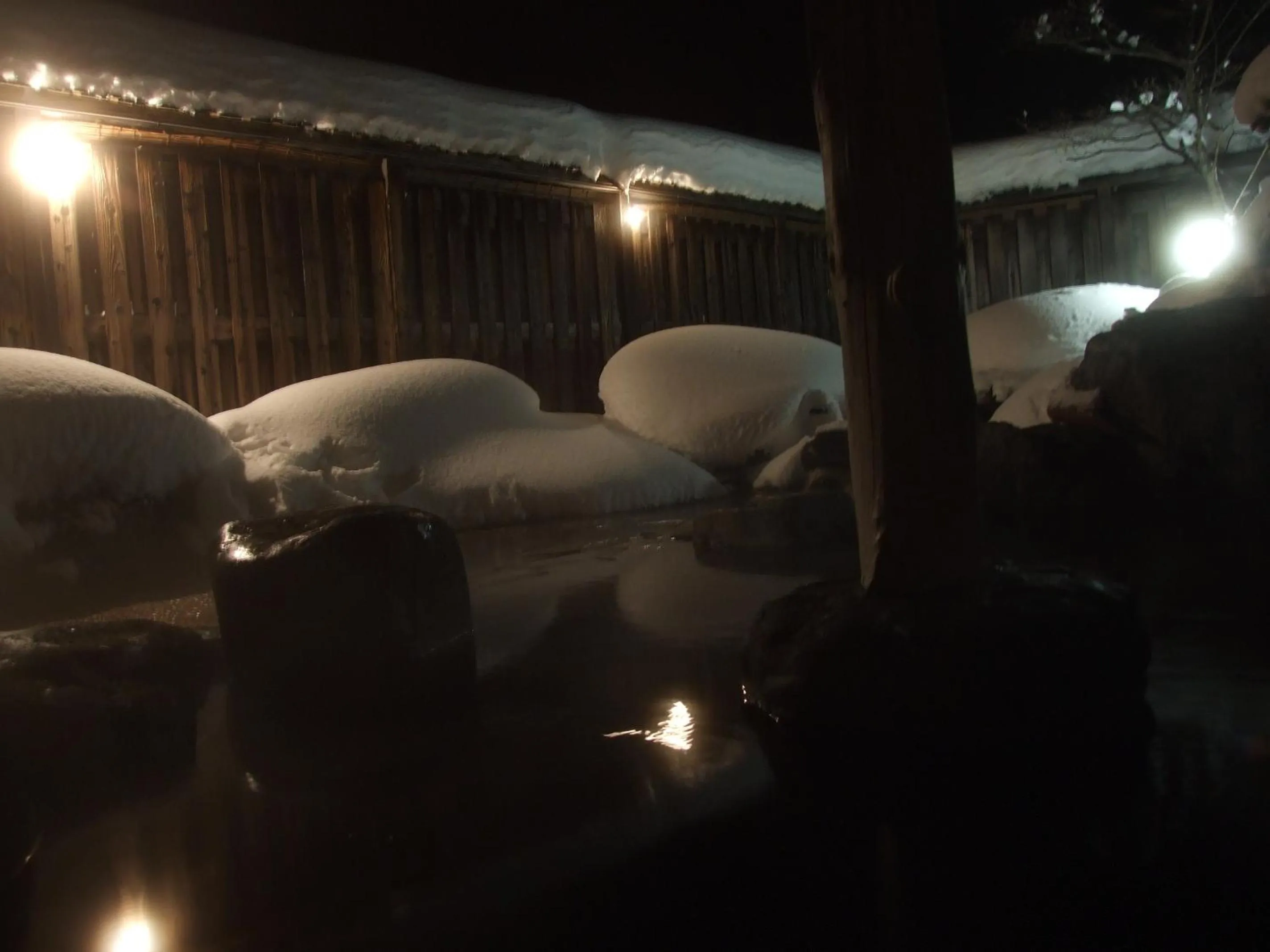 Winter in Hotel Uguisu