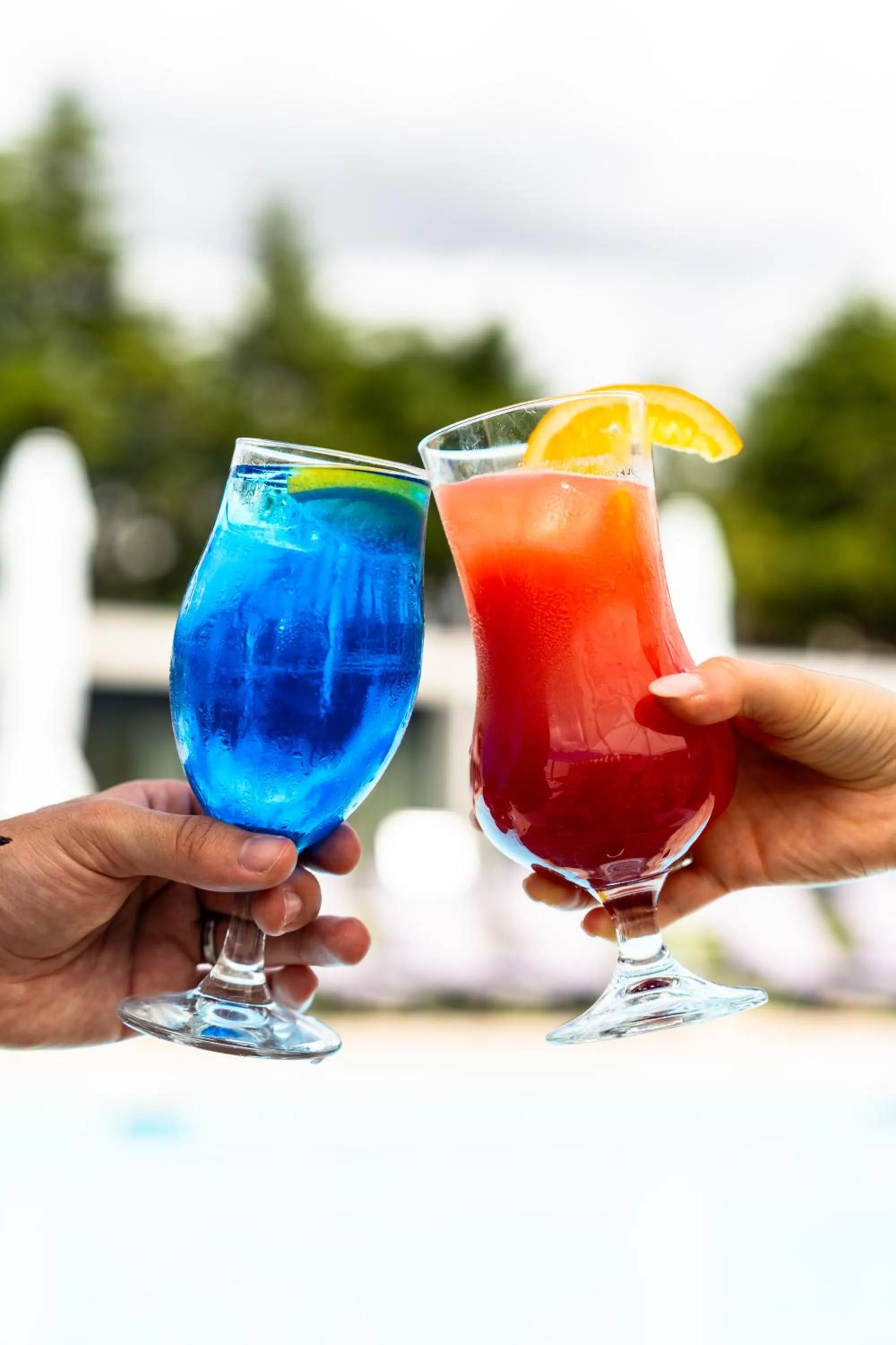 Drinks in Borralha Hotel, Restaurante & Spa