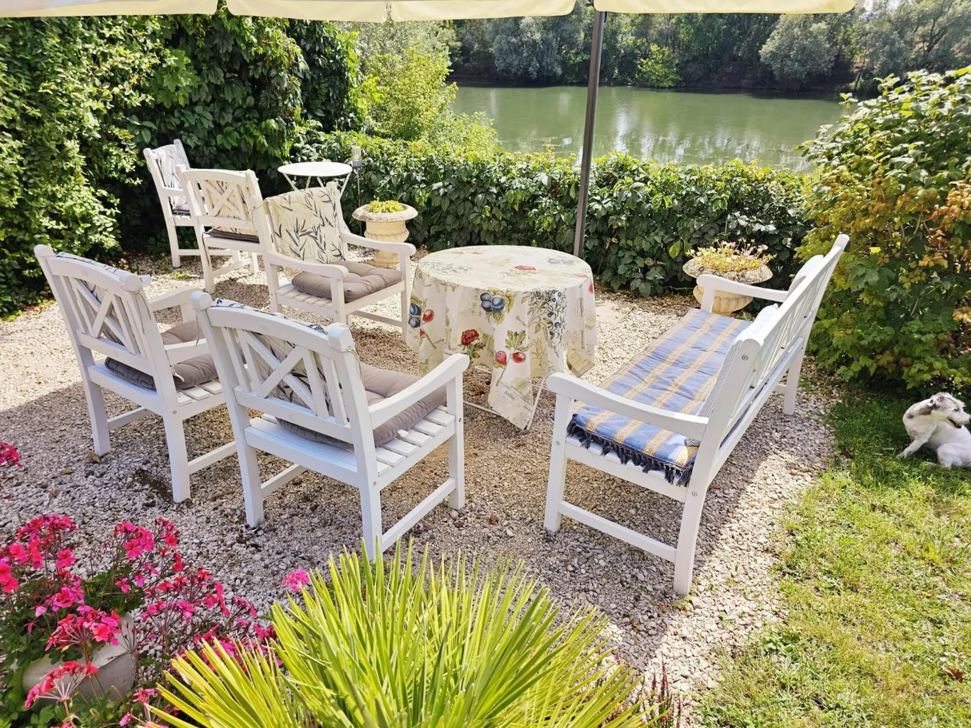 Garden in Jan's place in Burgundy