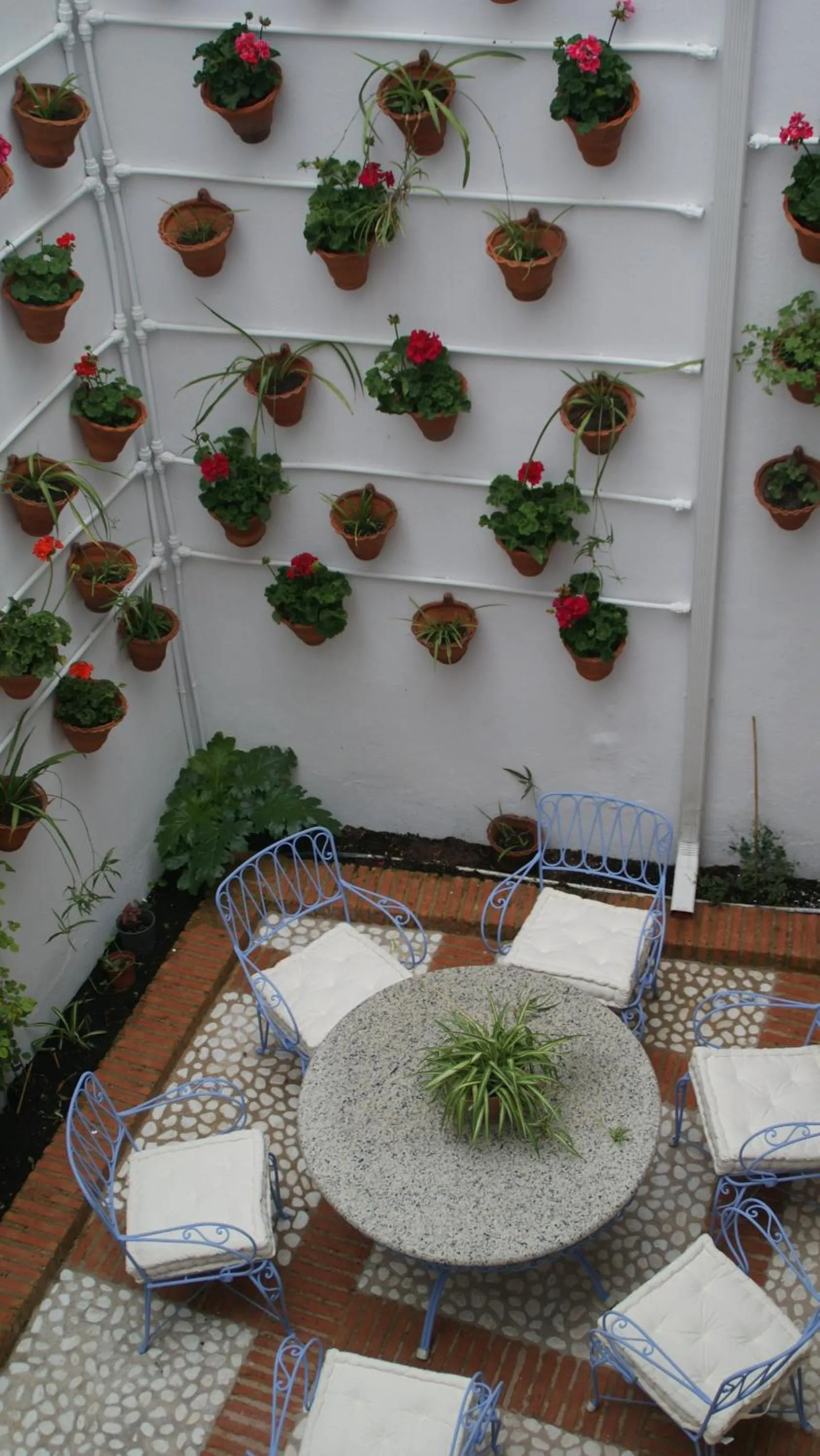 Garden in LANTIGUA CASA RURAL