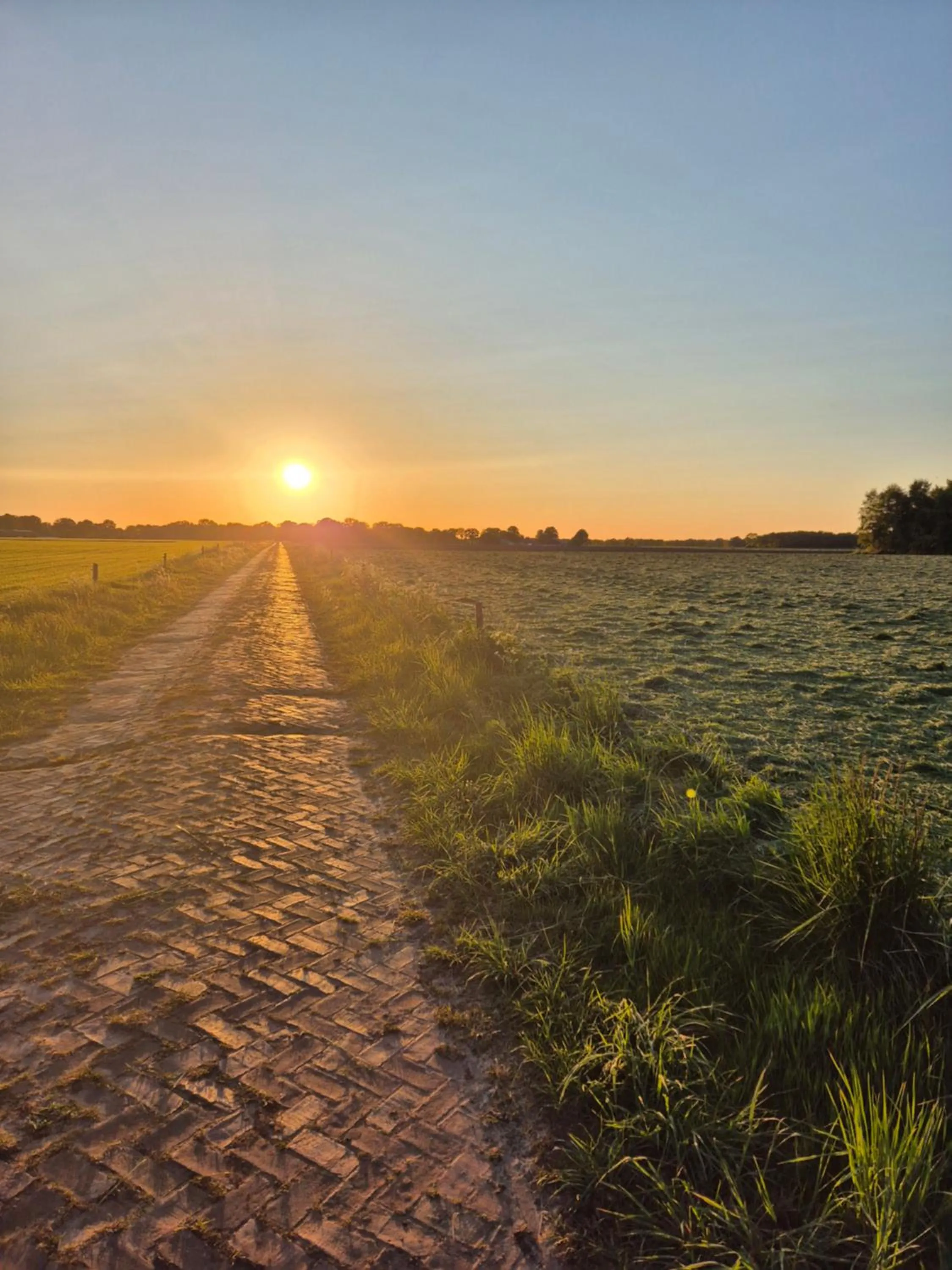 Bed en Breakfast Gees