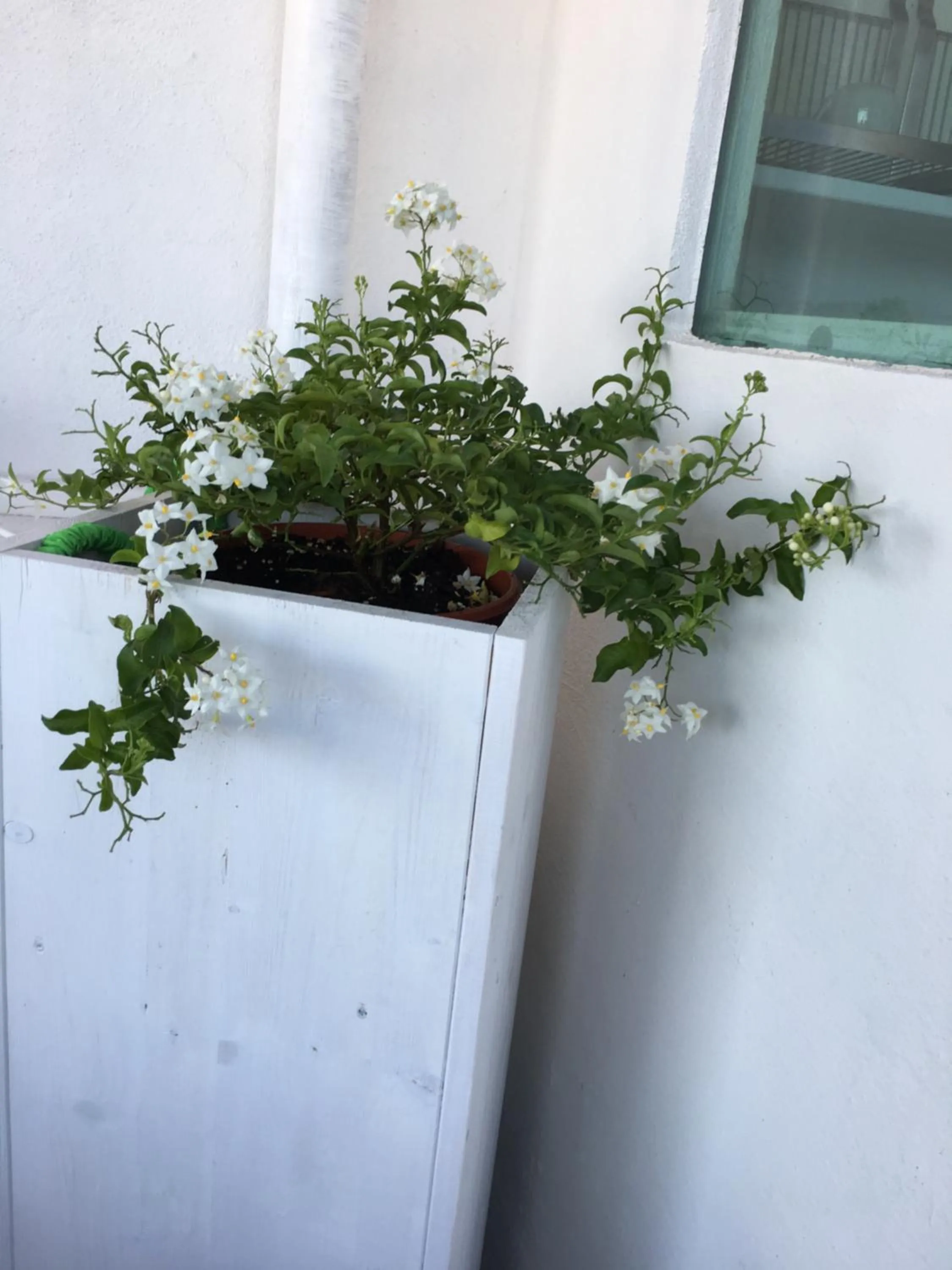 Balcony/Terrace in 4 in piazza