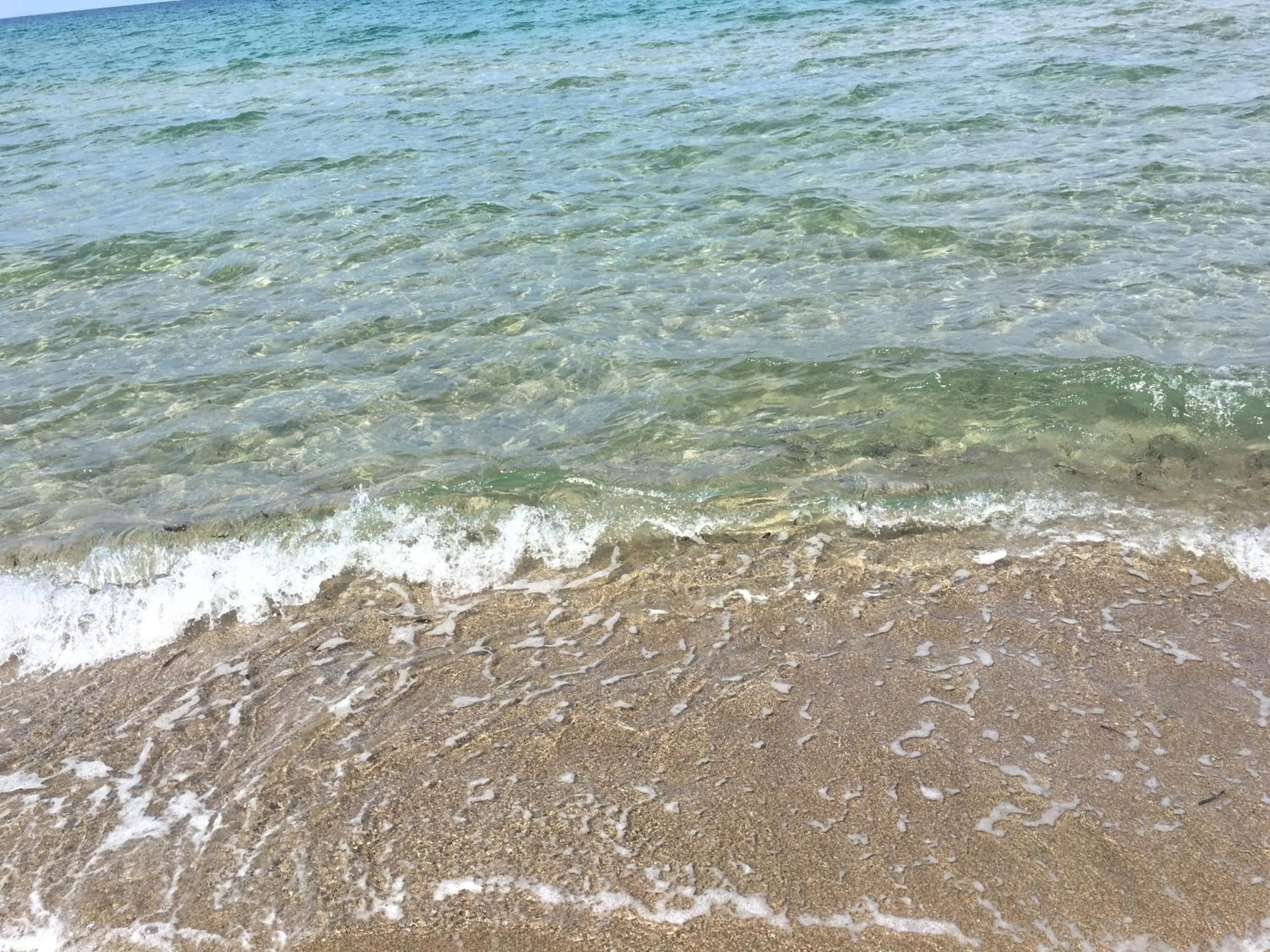 Activities in 4 in piazza