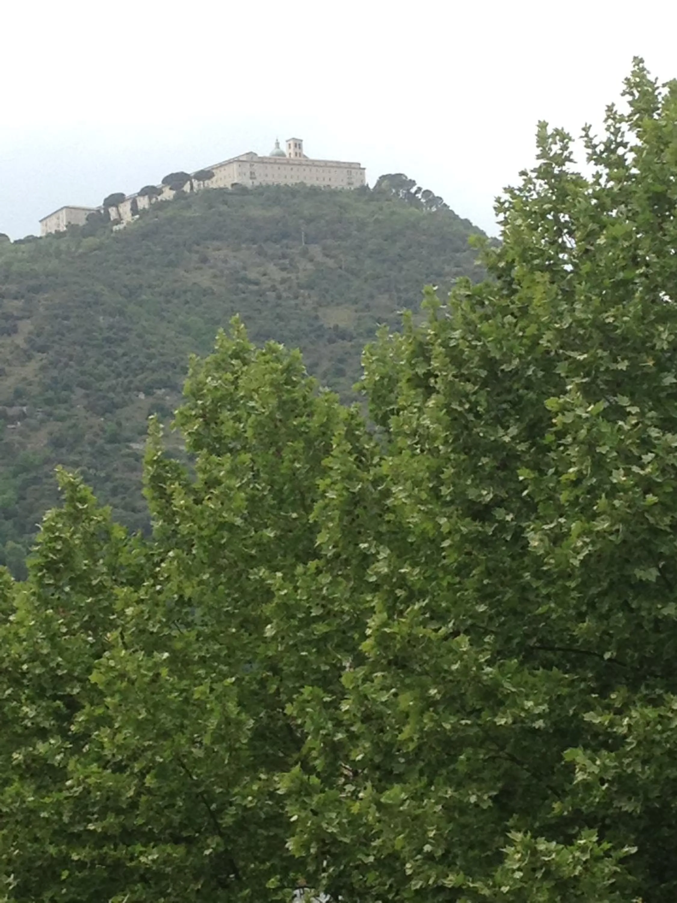 On site in SuiteIRIS B&B