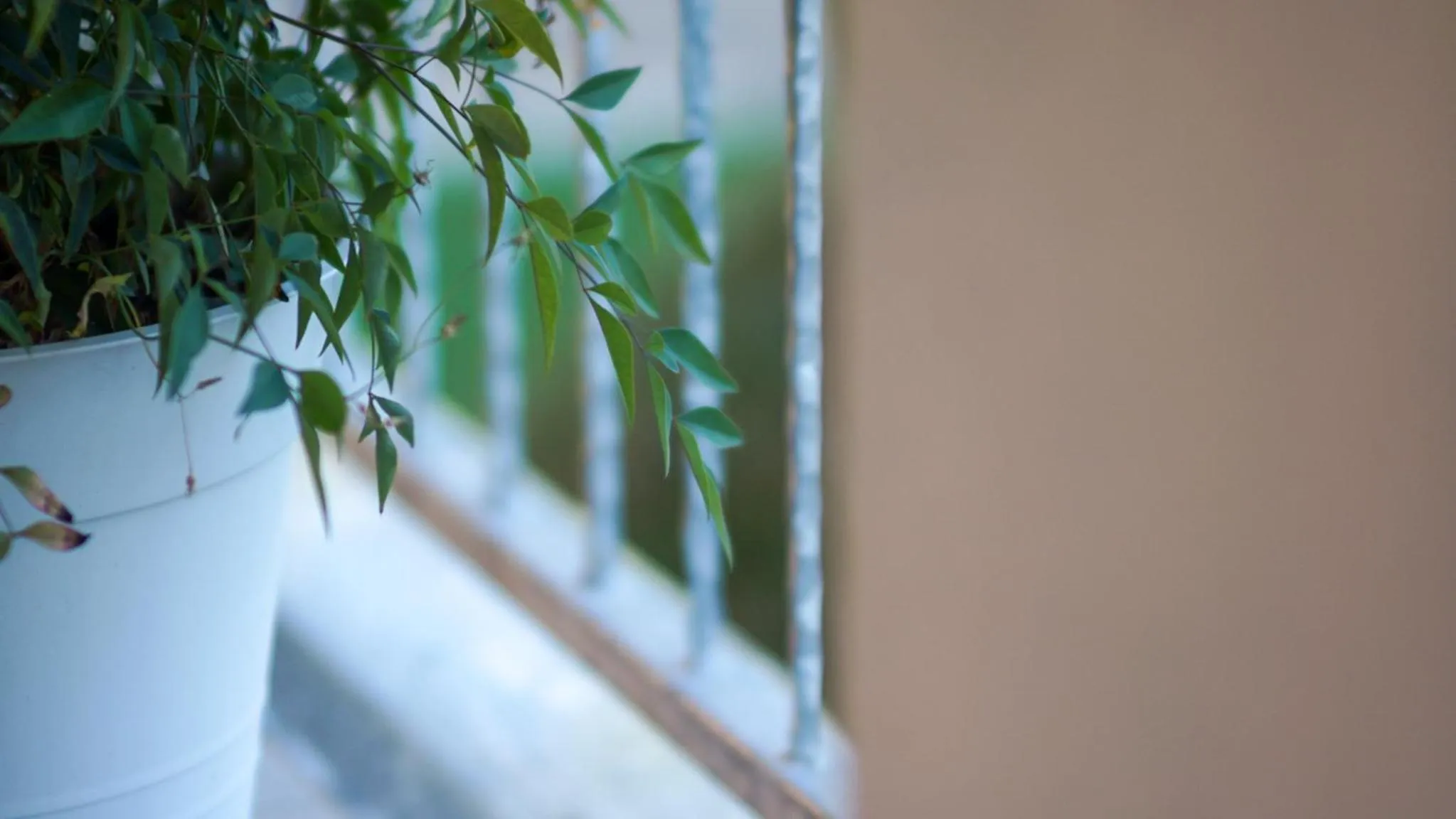 Balcony/Terrace in Bed & Breakfast La Pilona