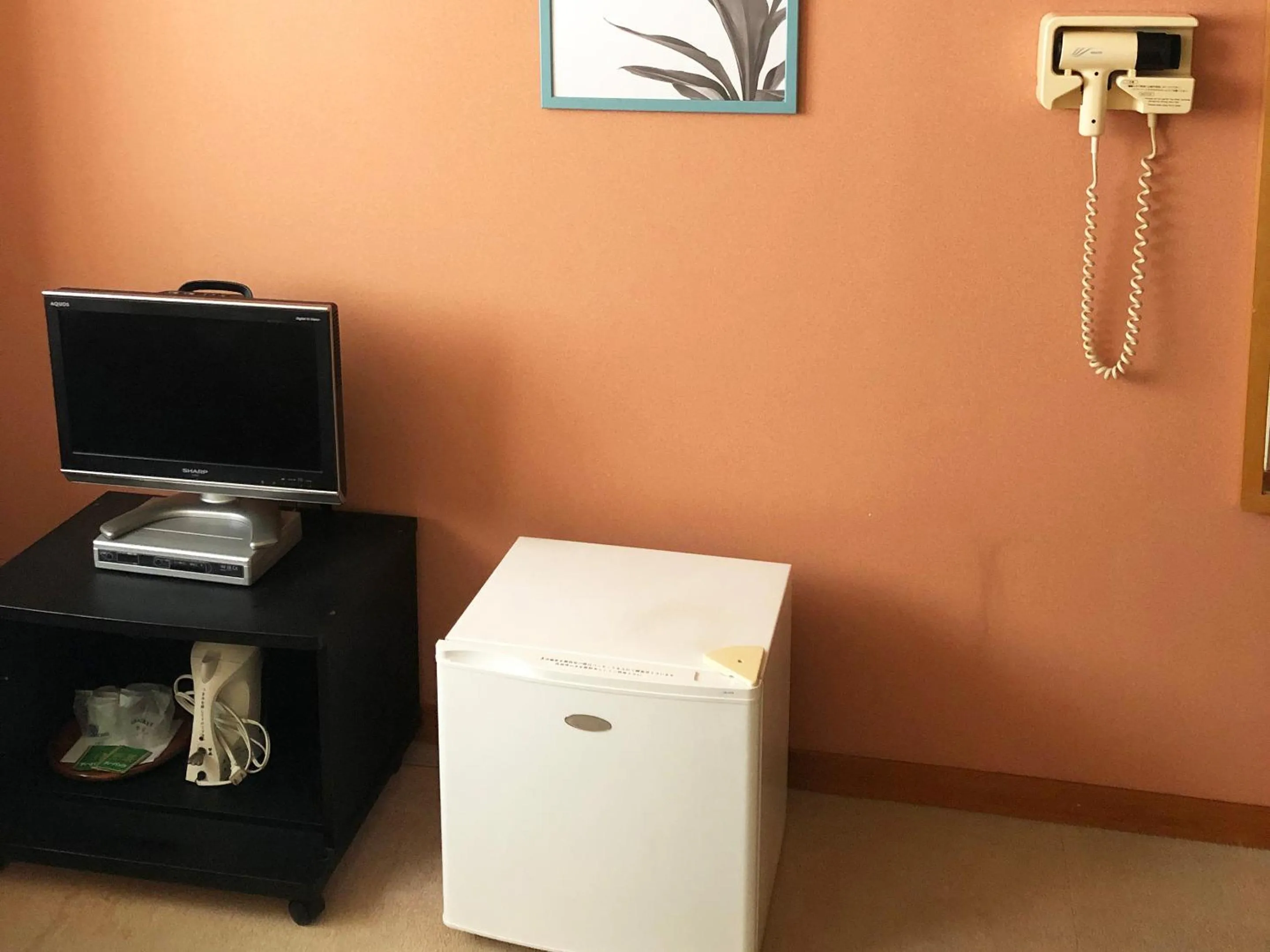 Photo of the whole room in Hotel King