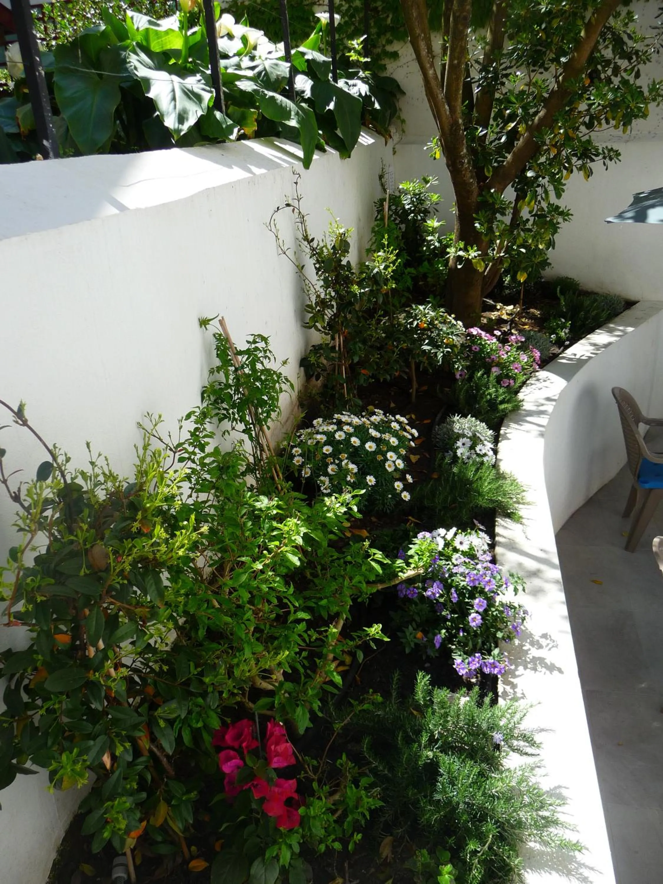 Patio in Hôtel Le Saphir