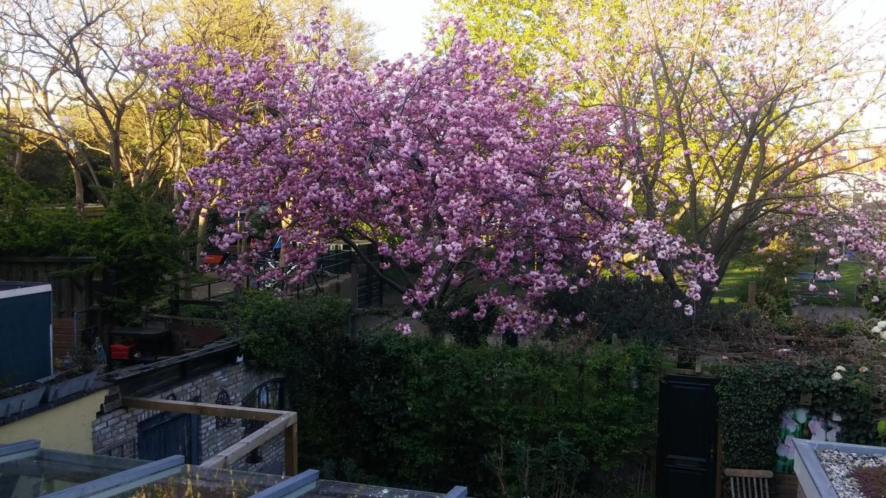 Natural landscape in Bed en Broodje Bloem