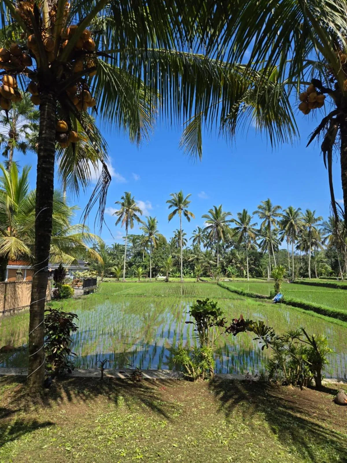 View (from property/room) in Ayu Duwur Beji