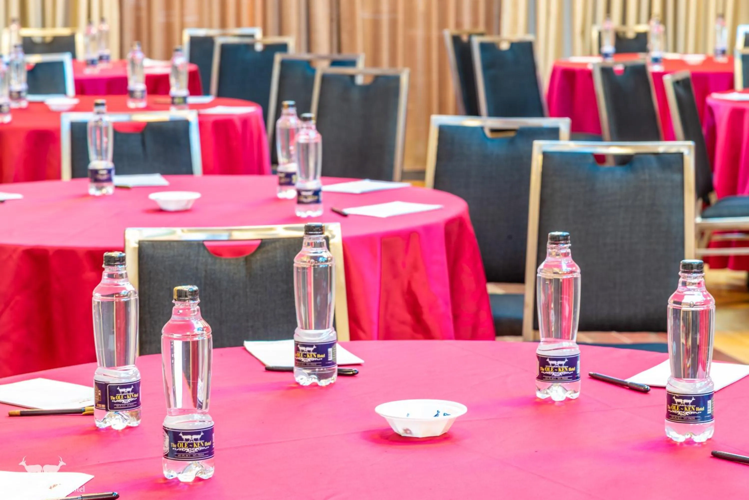 Meeting/conference room in The Ole-Ken Hotel
