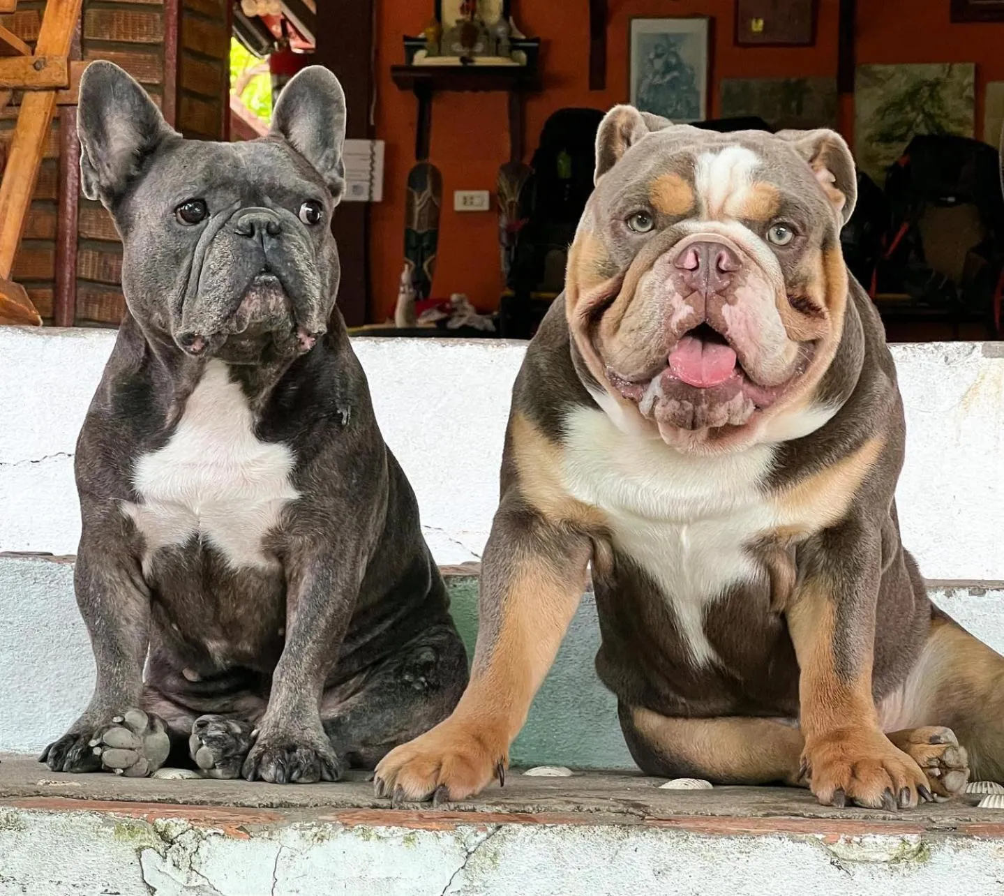 Restaurant/places to eat in Rapala Rock Wood Resort- SHA Plus