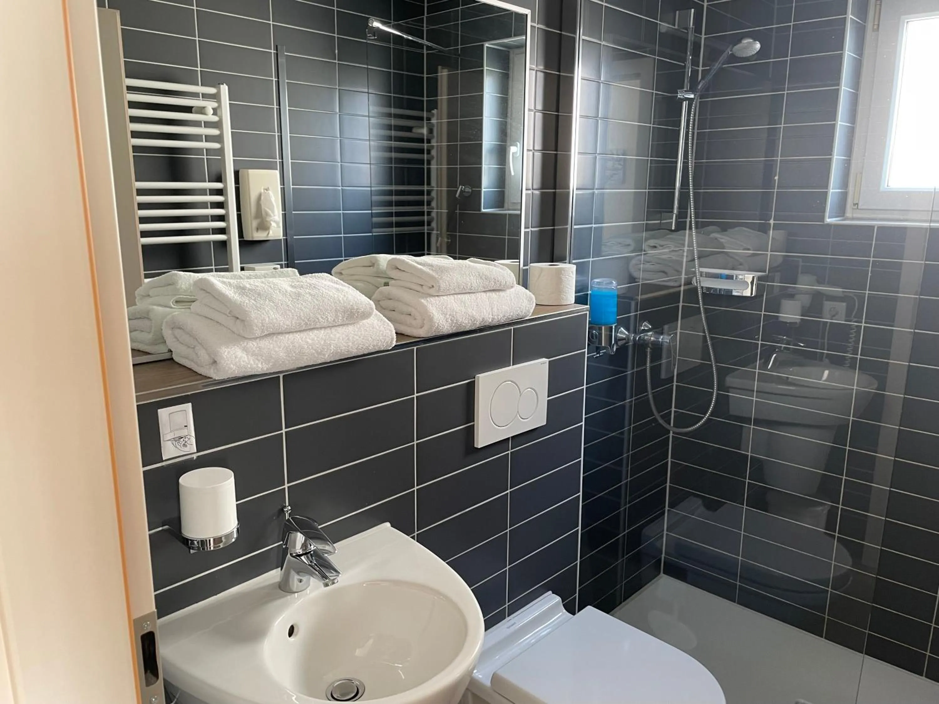 Toilet in Hotel Zum Ritter