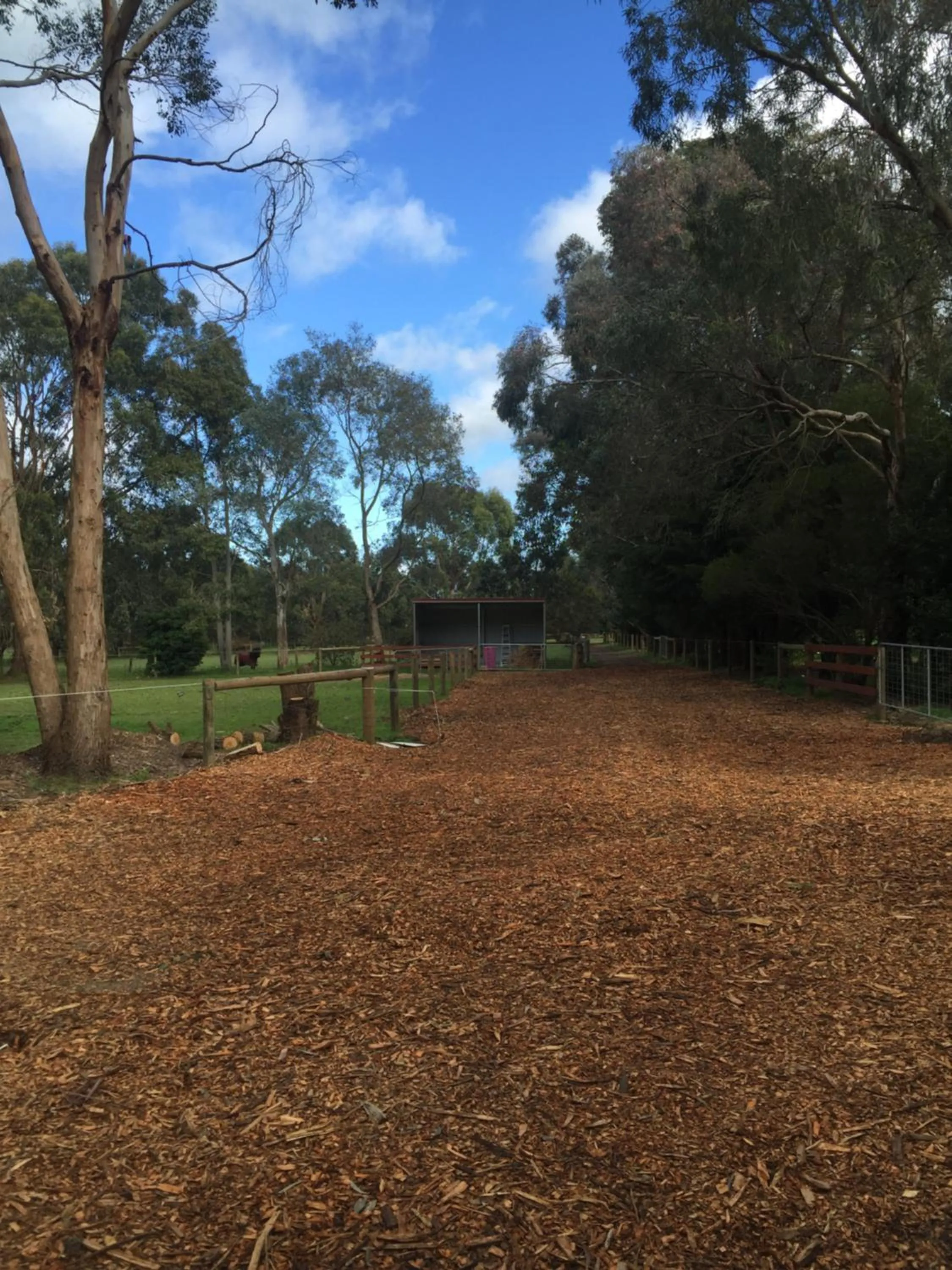 Pets in Sherwood Park bed and breakfast