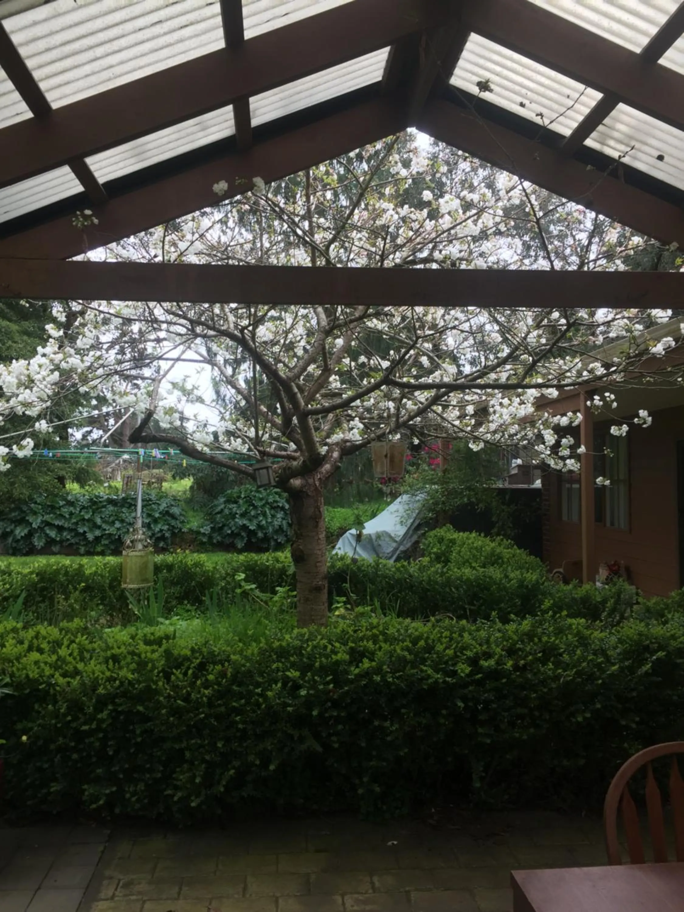 Garden in Sherwood Park bed and breakfast