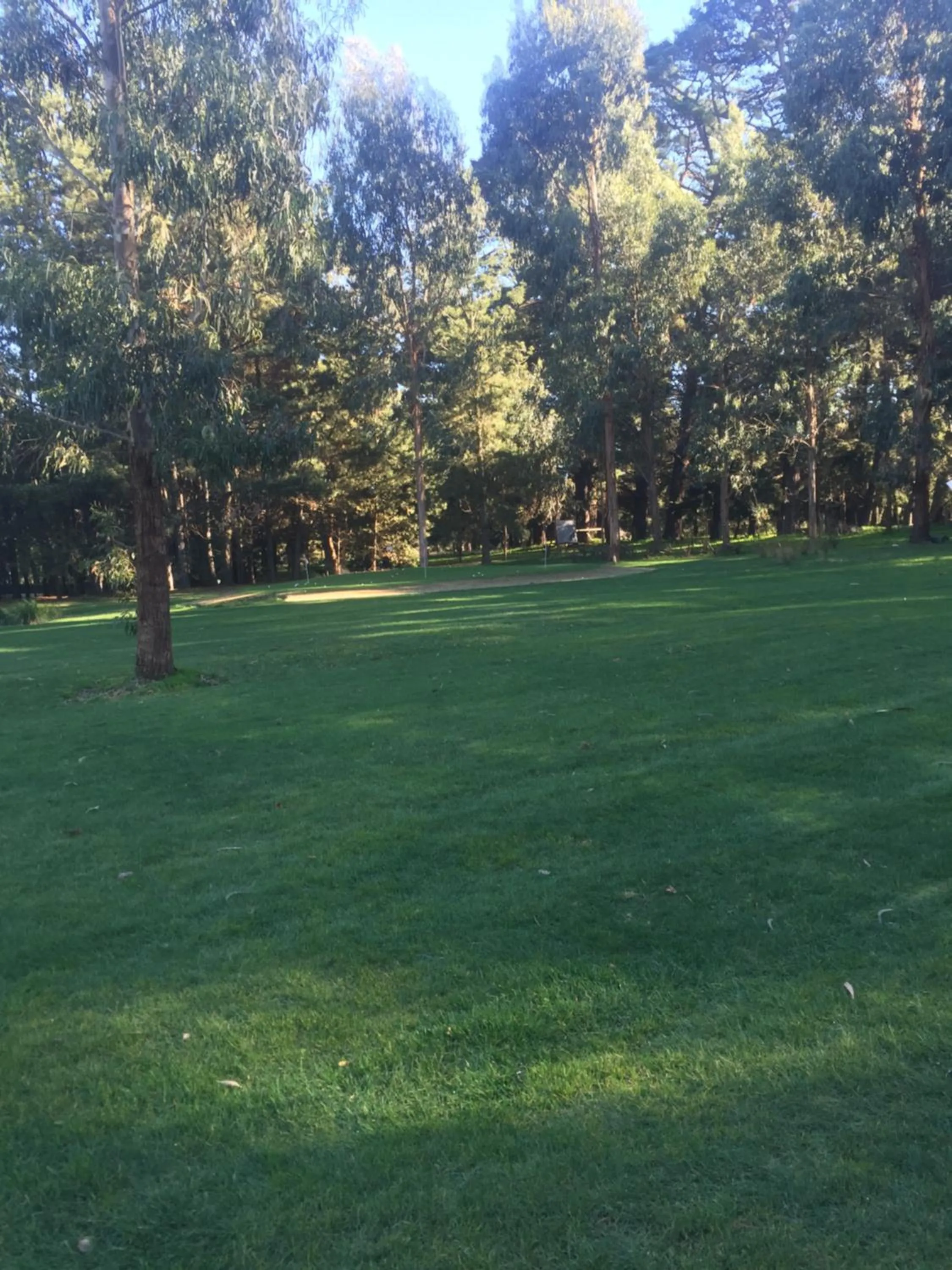 Garden in Sherwood Park bed and breakfast