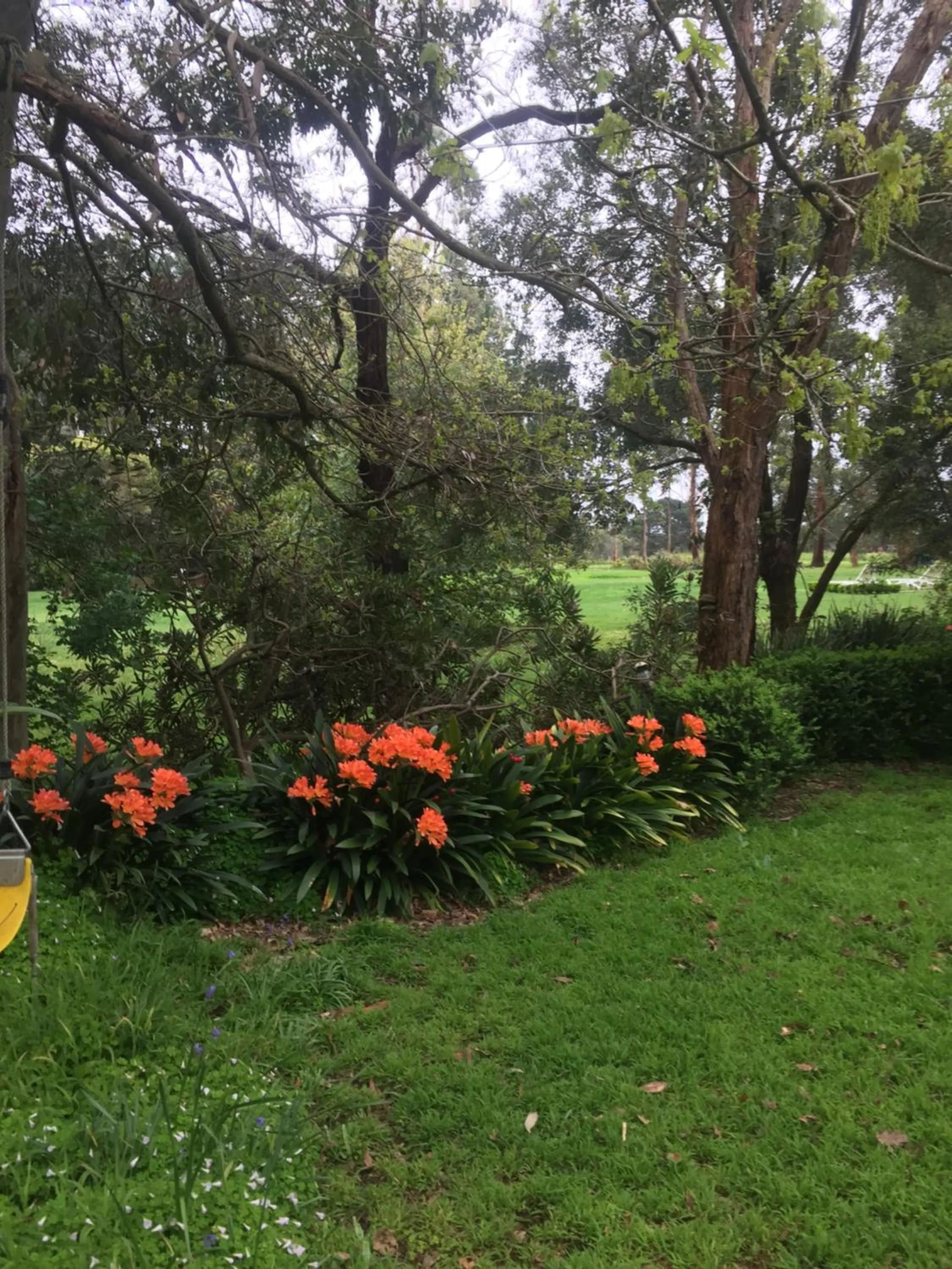 Garden in Sherwood Park bed and breakfast