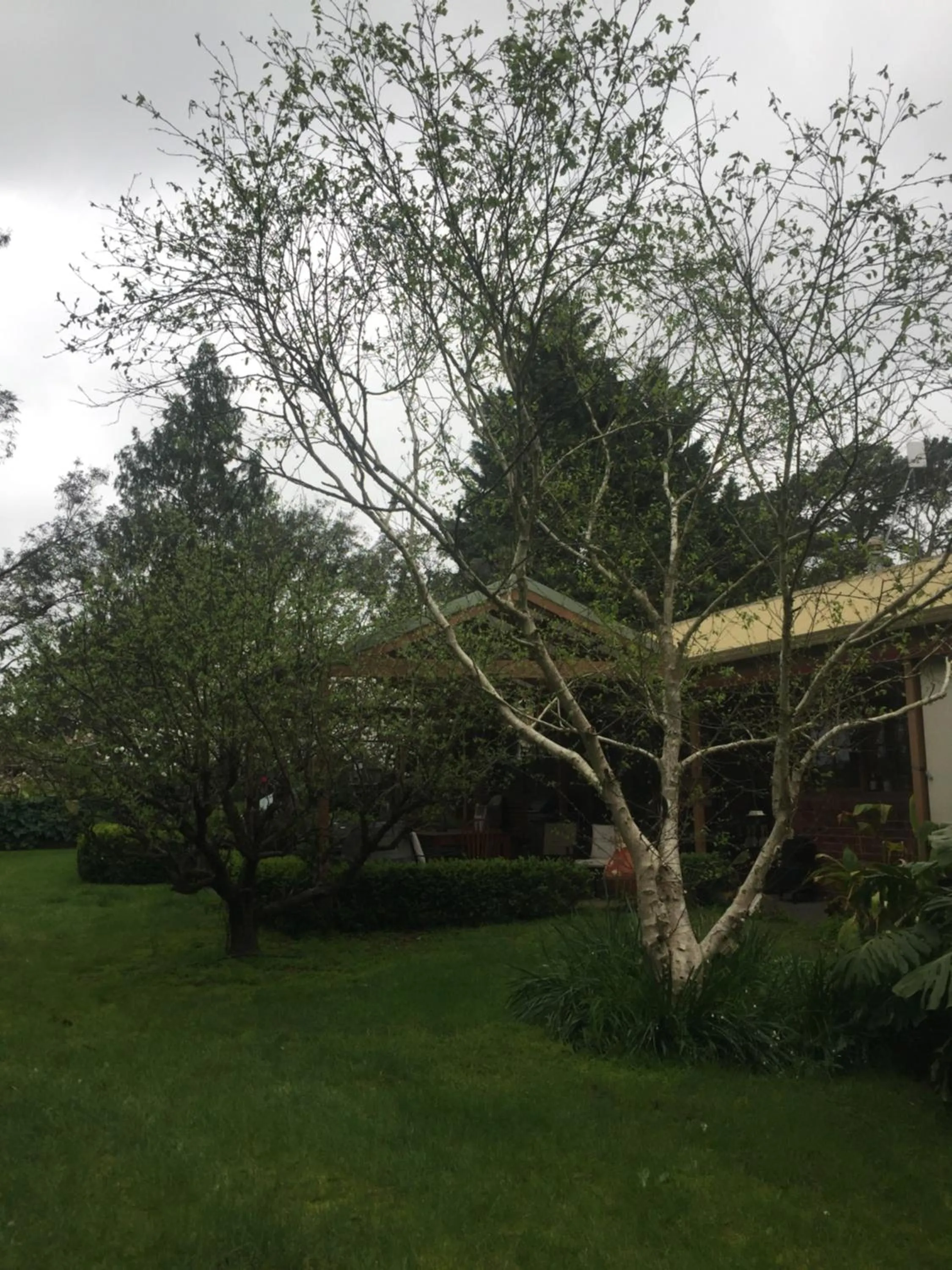 Garden in Sherwood Park bed and breakfast