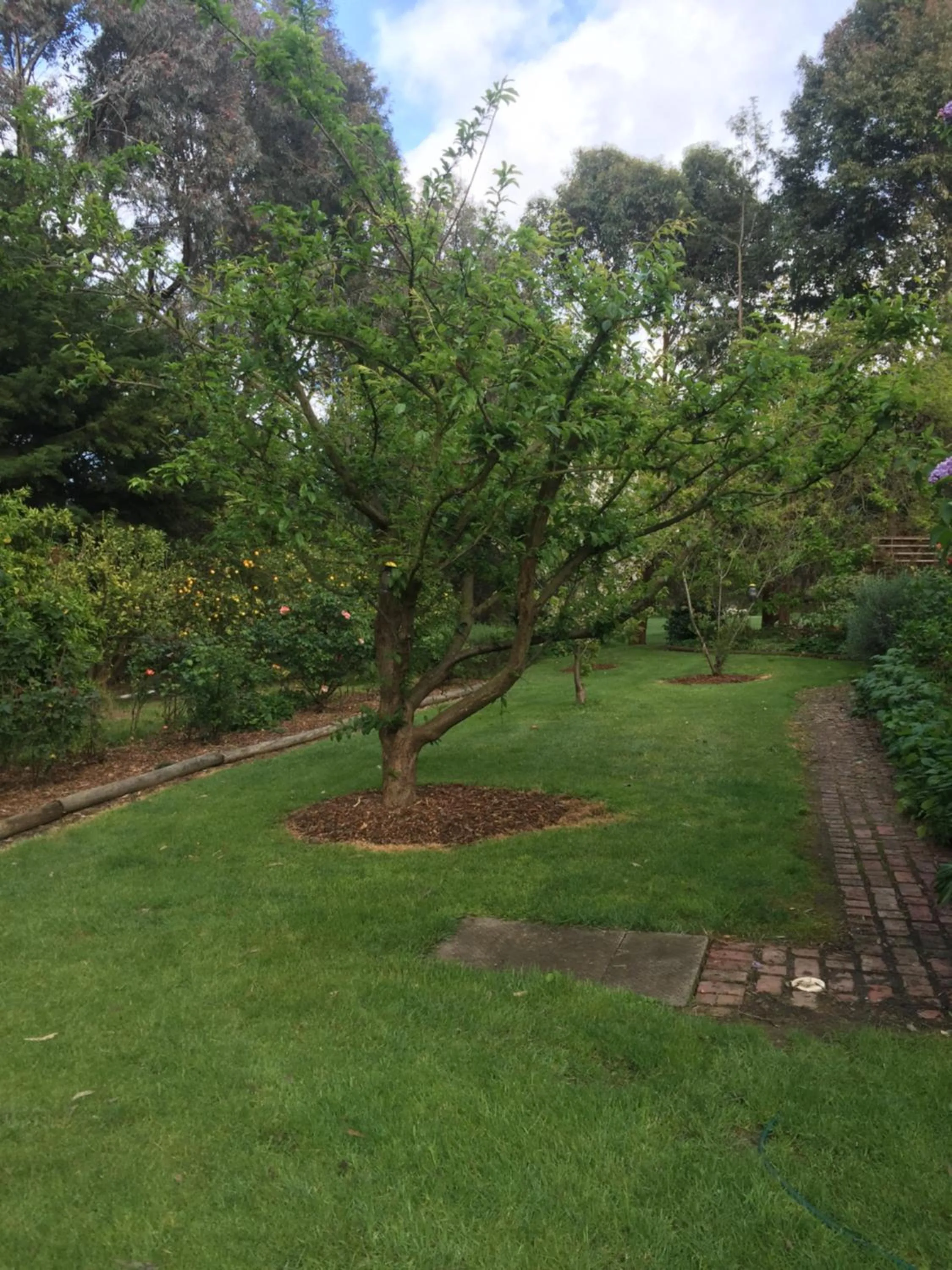 Garden in Sherwood Park bed and breakfast