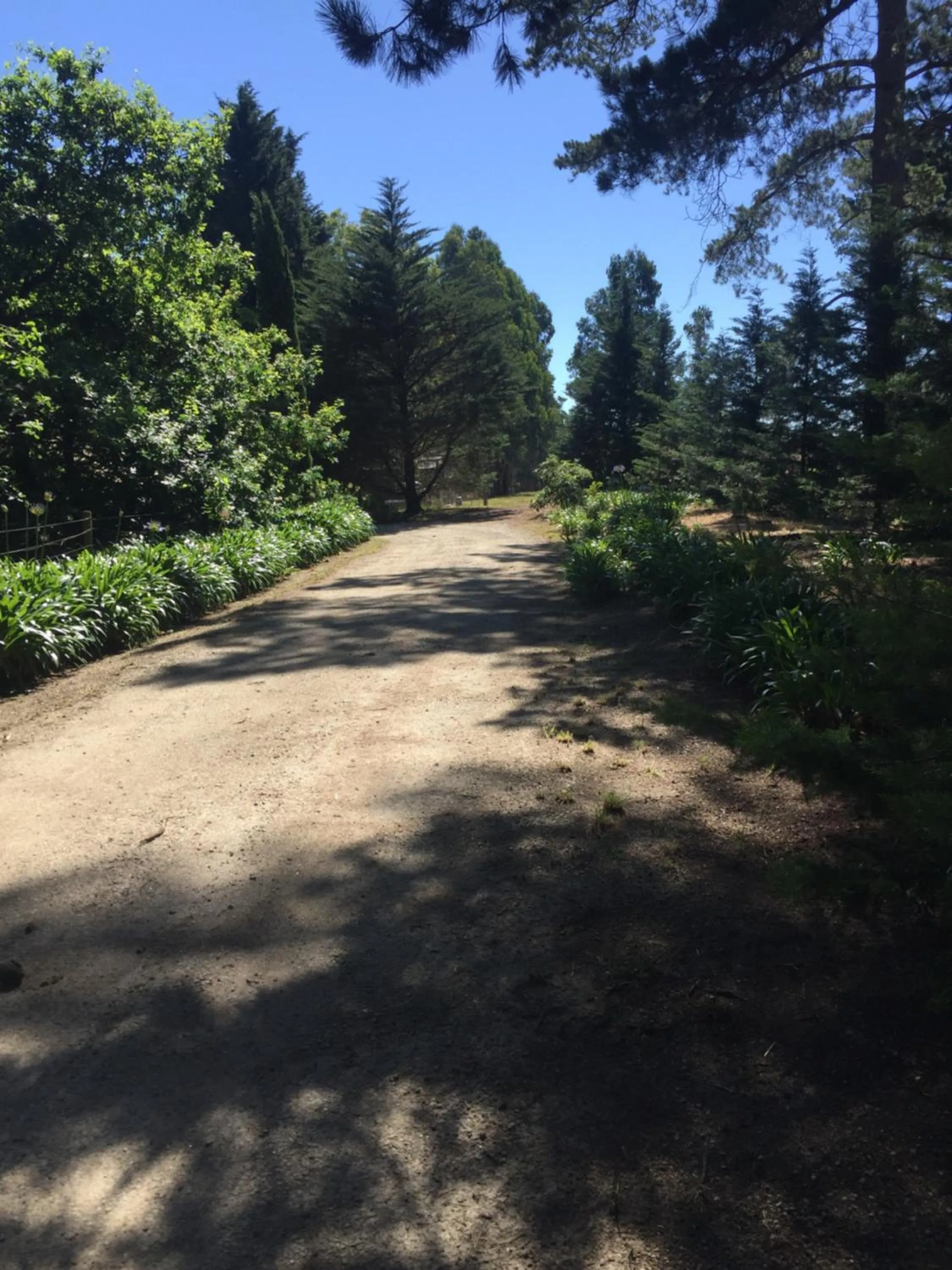 Facade/entrance in Sherwood Park bed and breakfast
