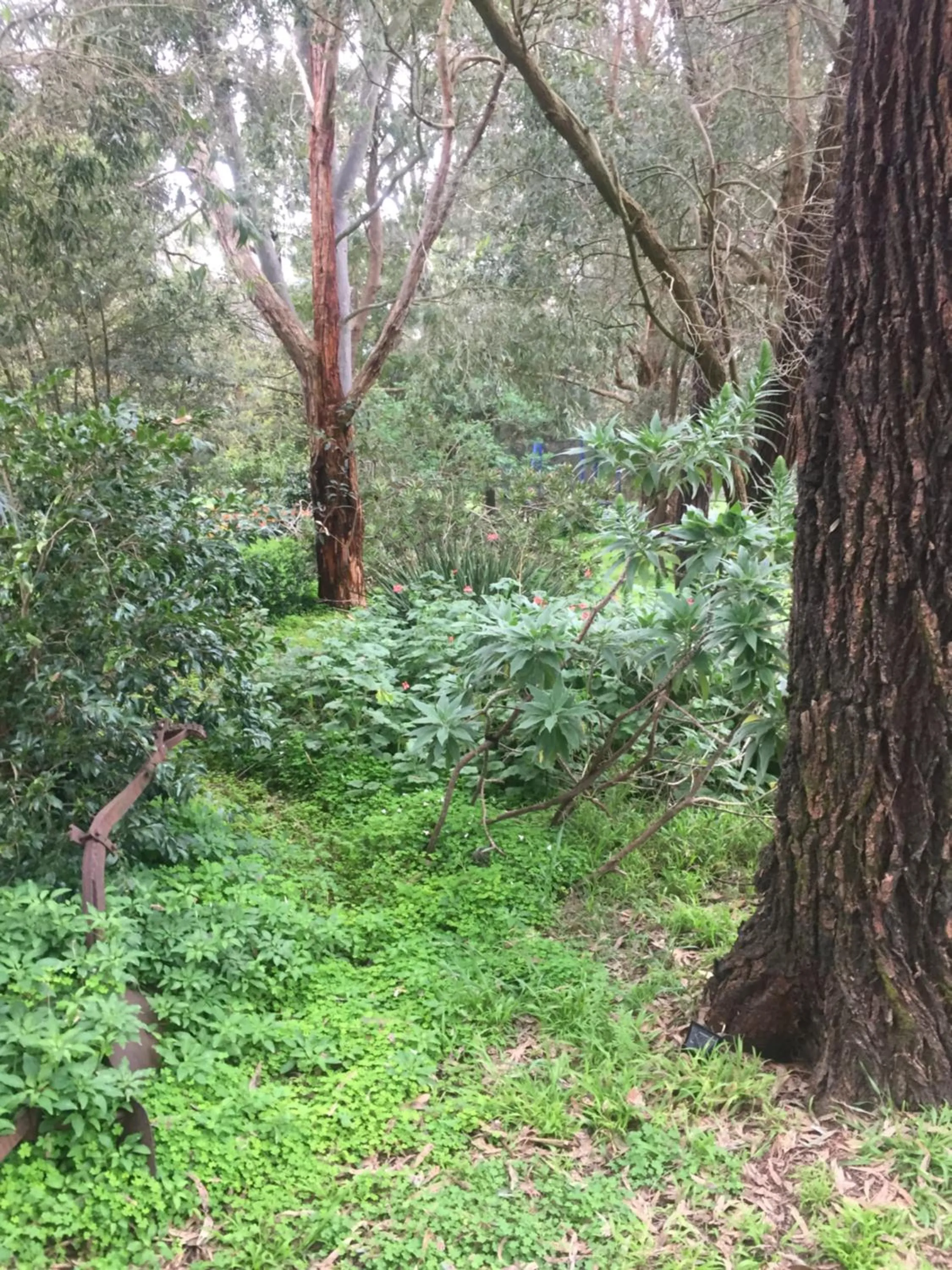 Garden in Sherwood Park bed and breakfast