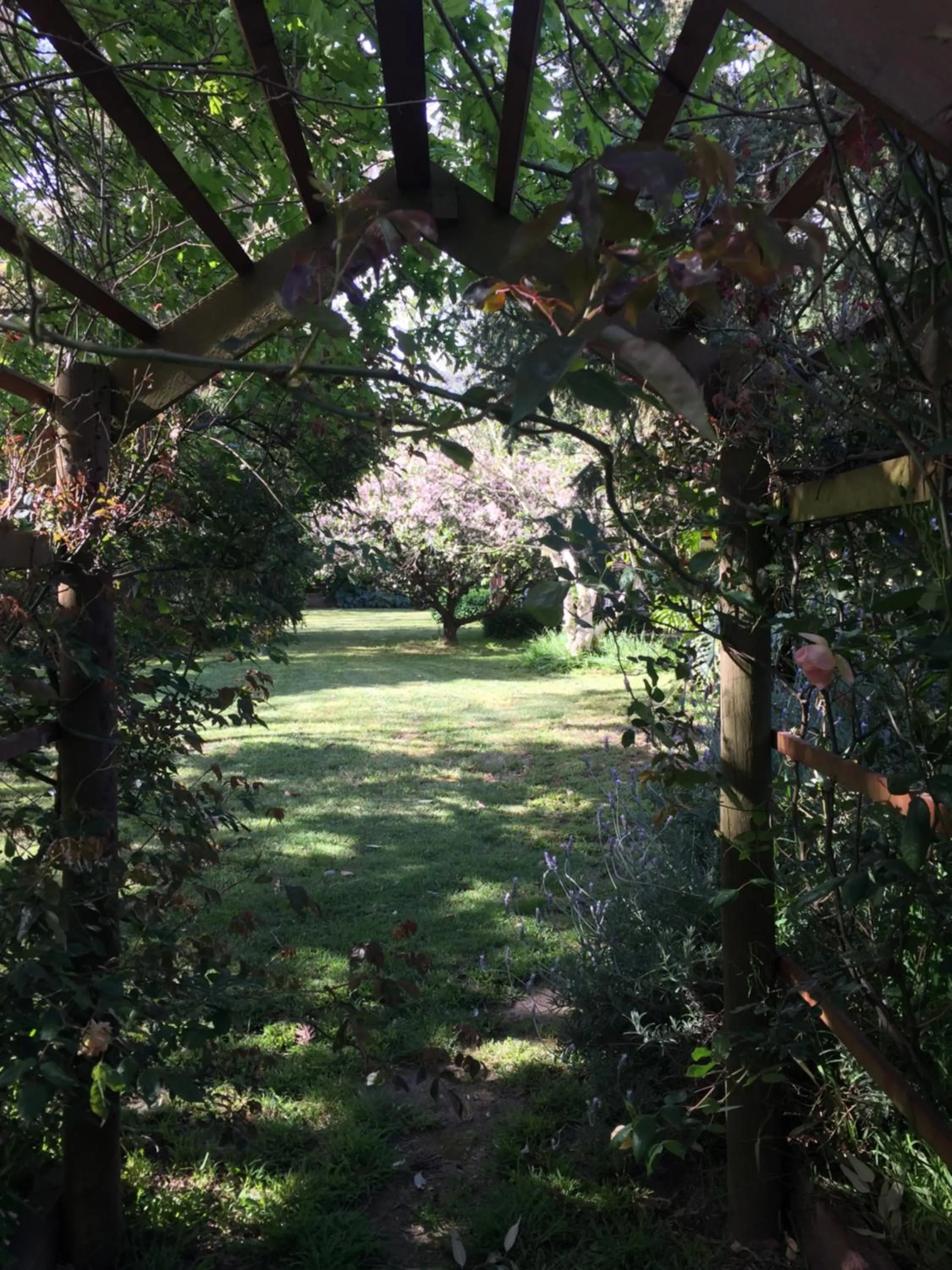 Garden in Sherwood Park bed and breakfast