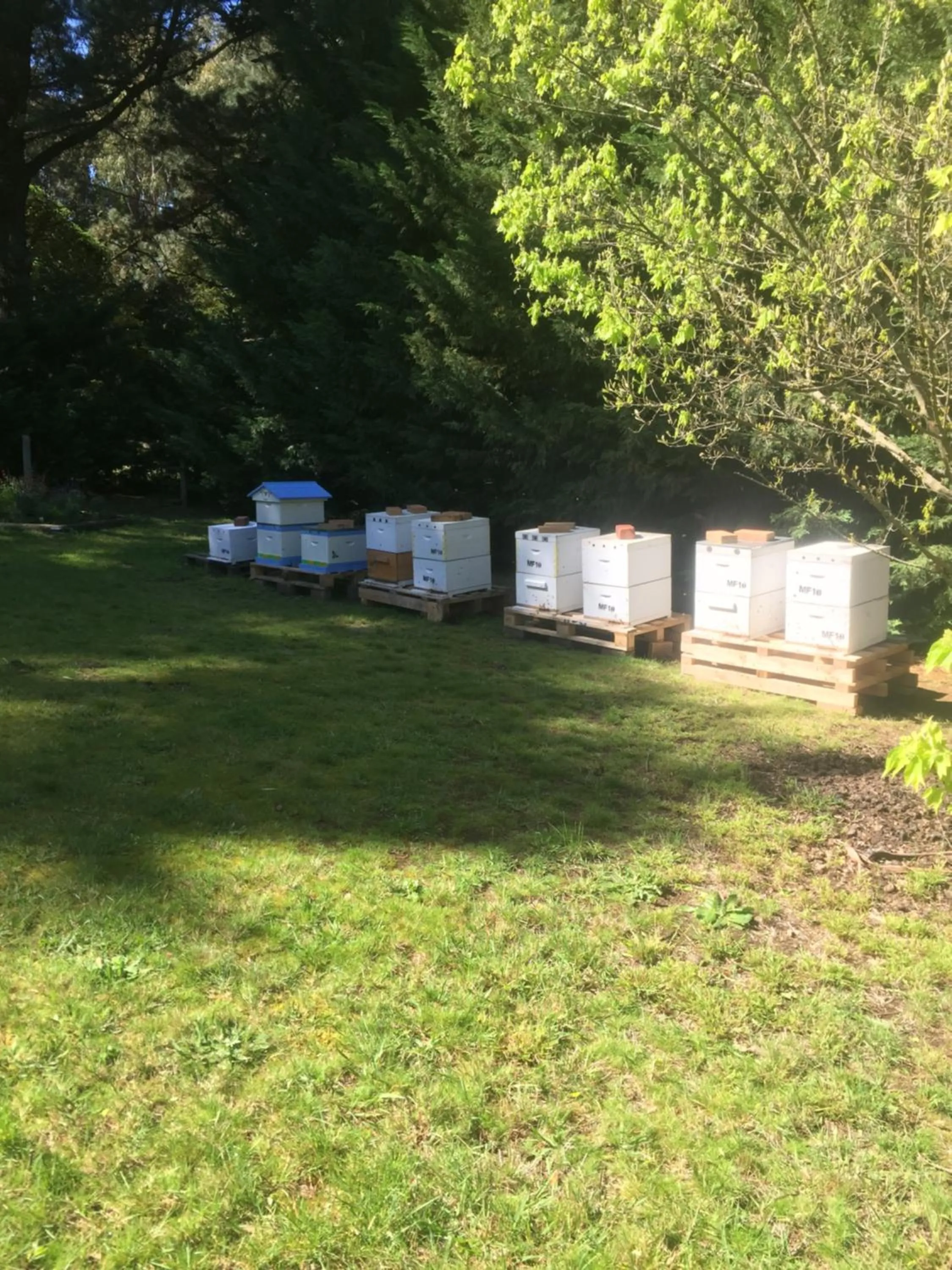 Animals in Sherwood Park bed and breakfast