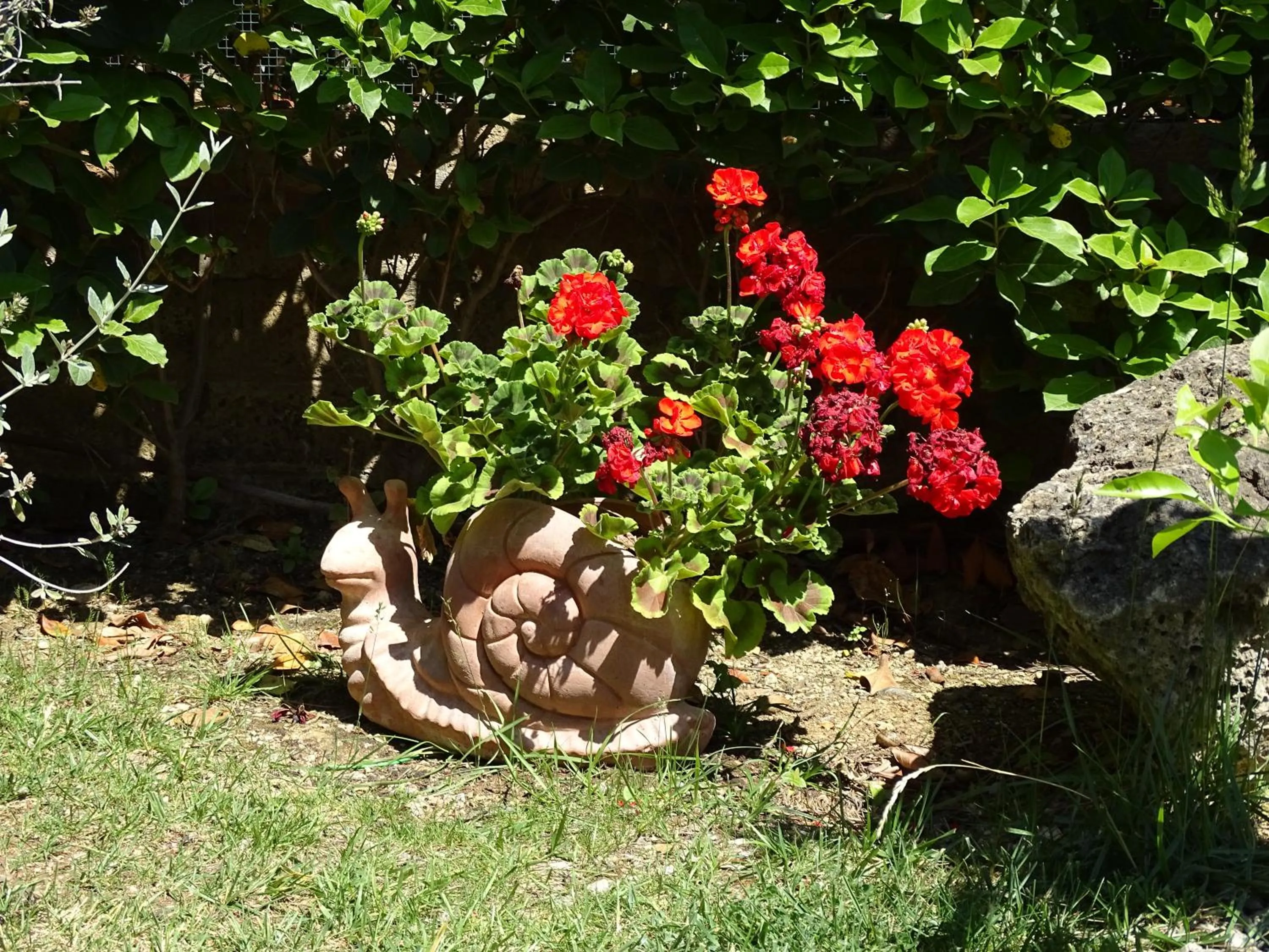 Garden in B&B La Dolce Vita