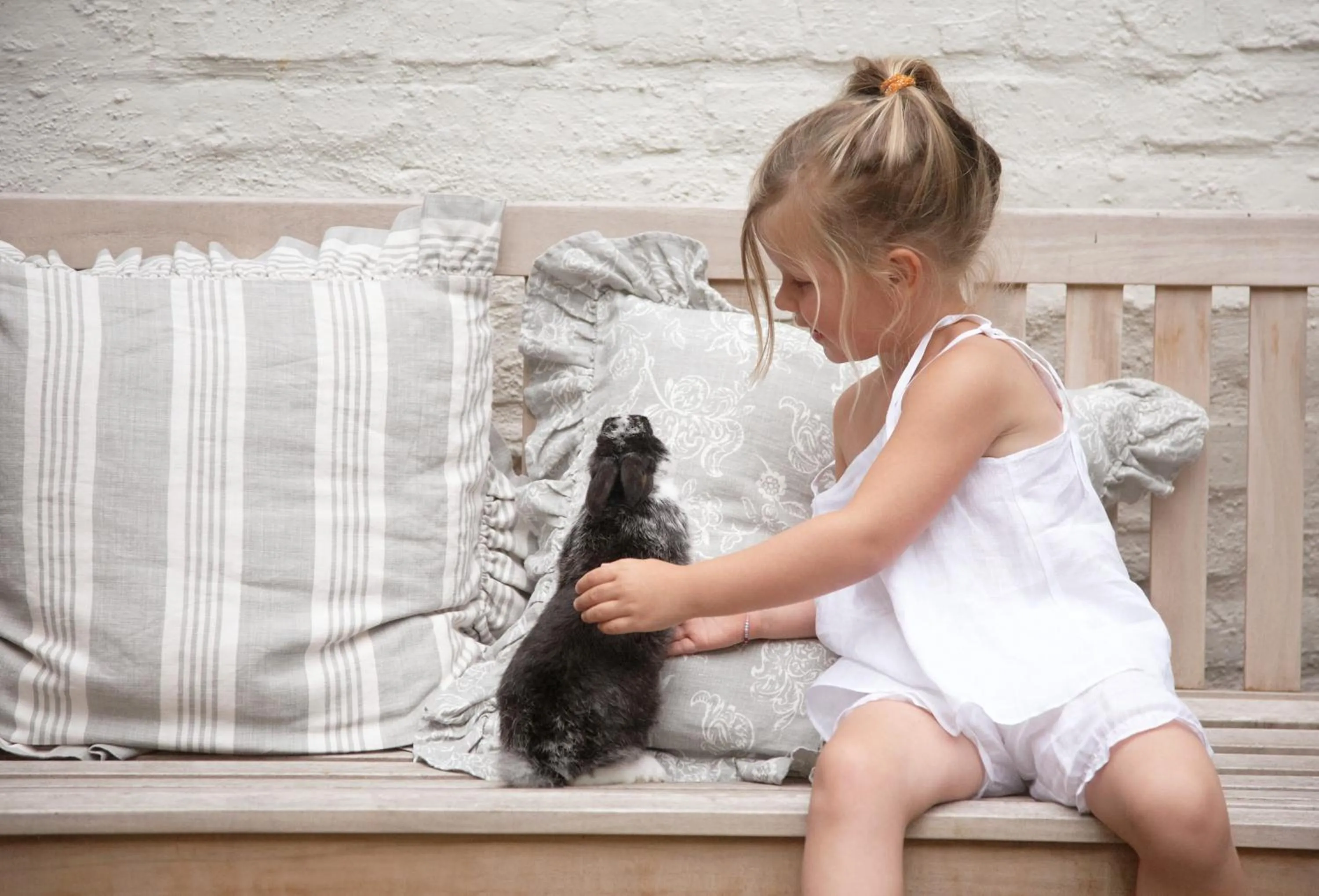 B&B 't Wit Huys Brugge