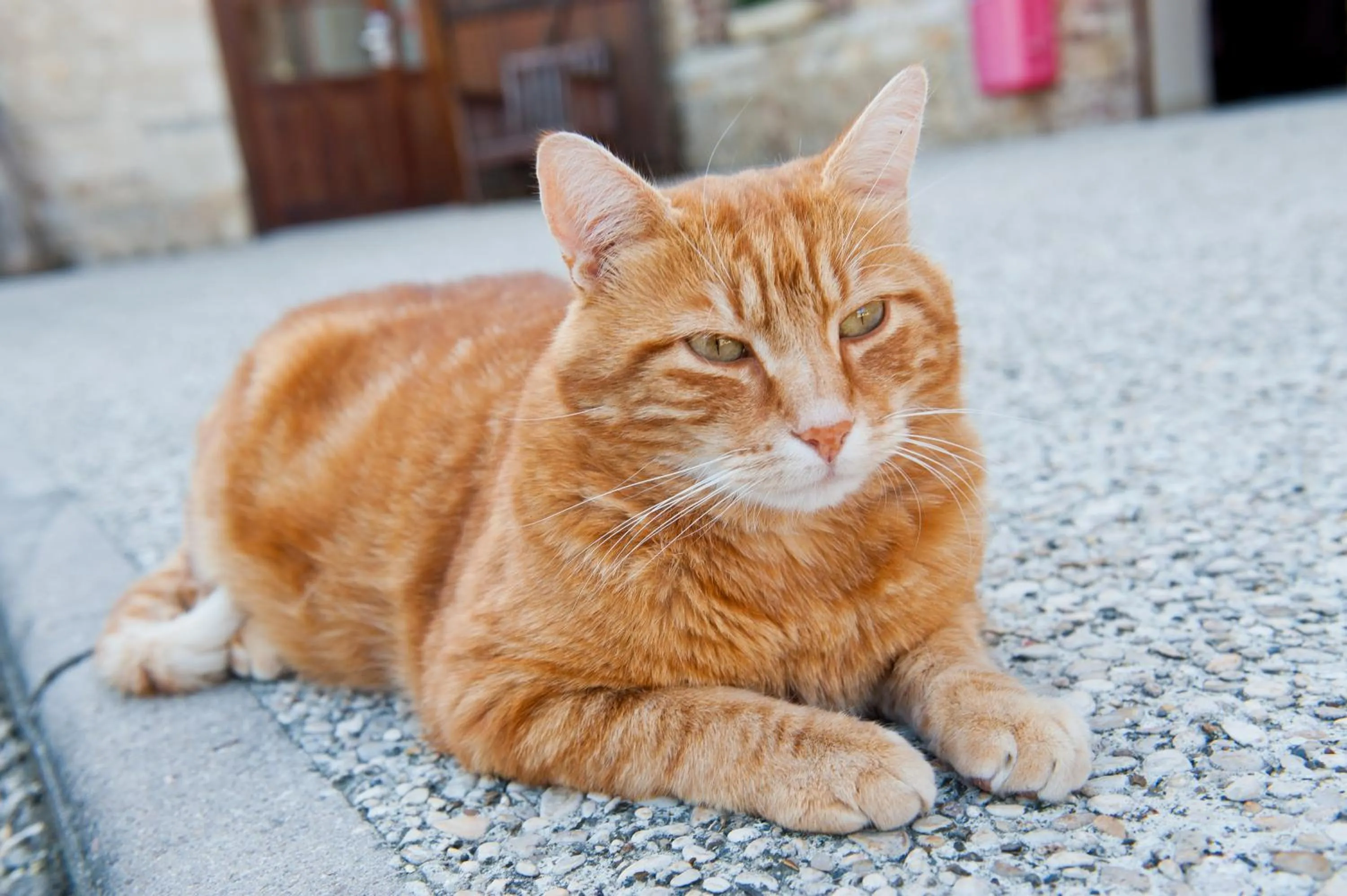 Other in Domaine De Barive