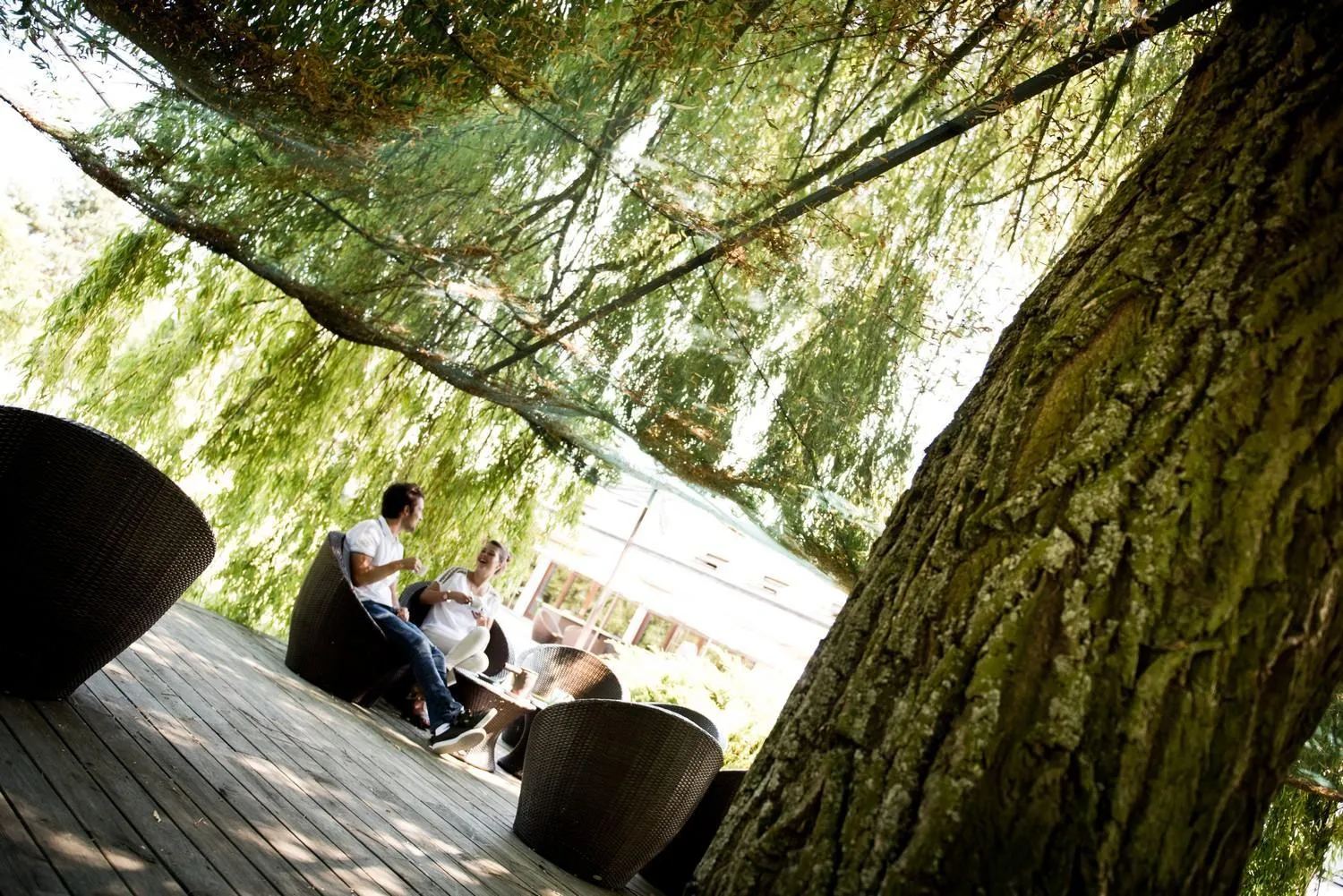 Garden in Domaine De Barive