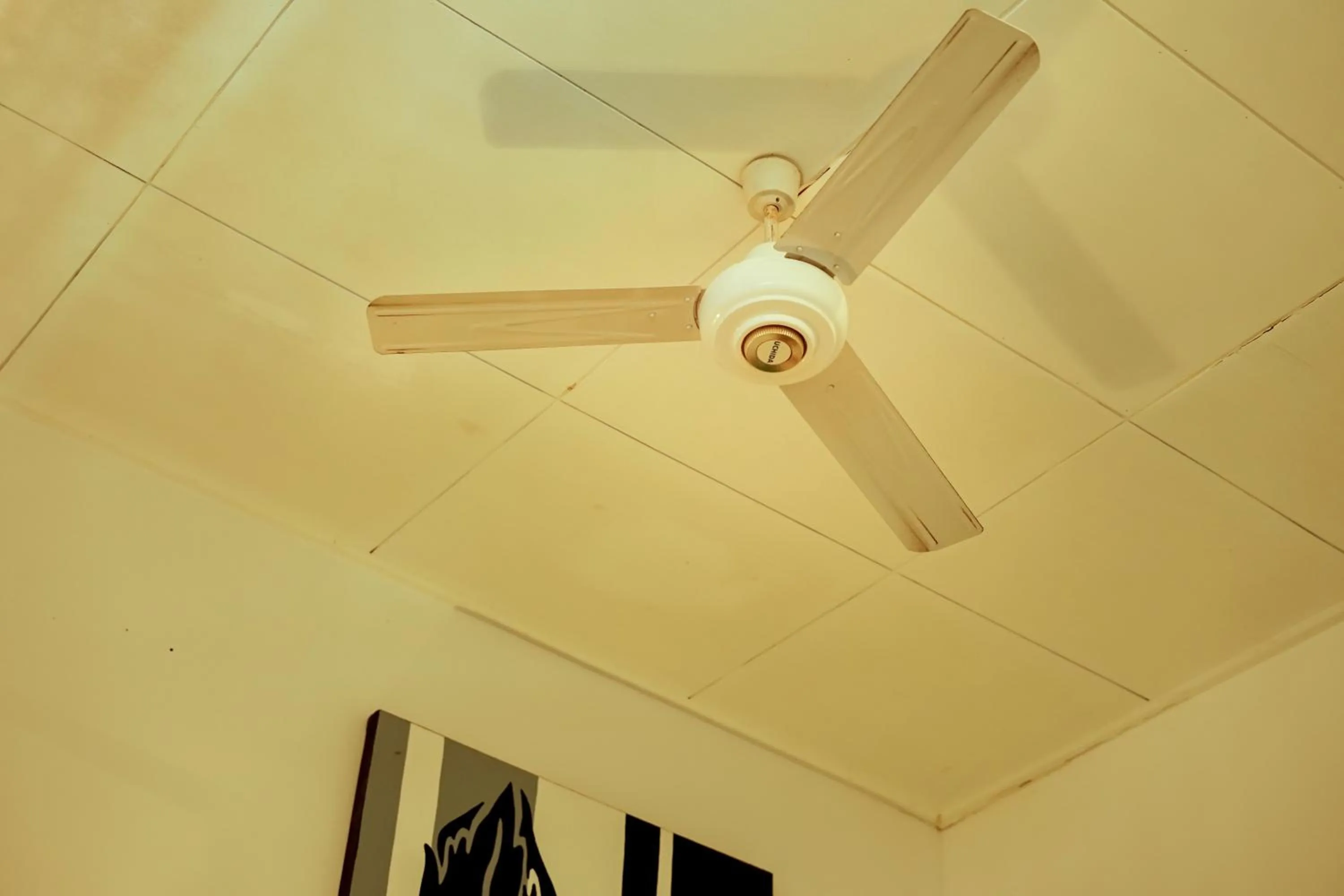 Decorative detail in Little Pond Homestay