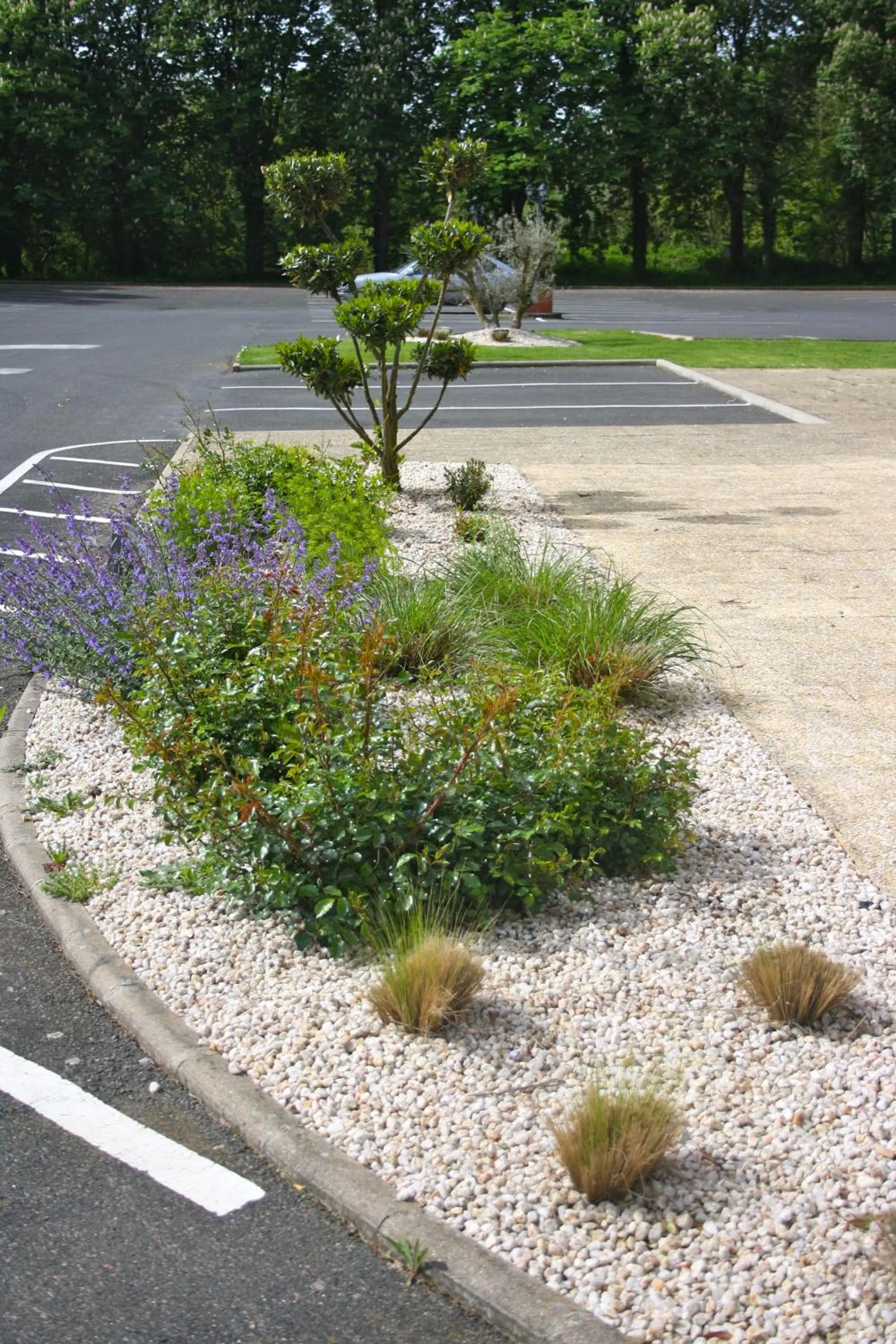 Other in Fasthotel Vendome