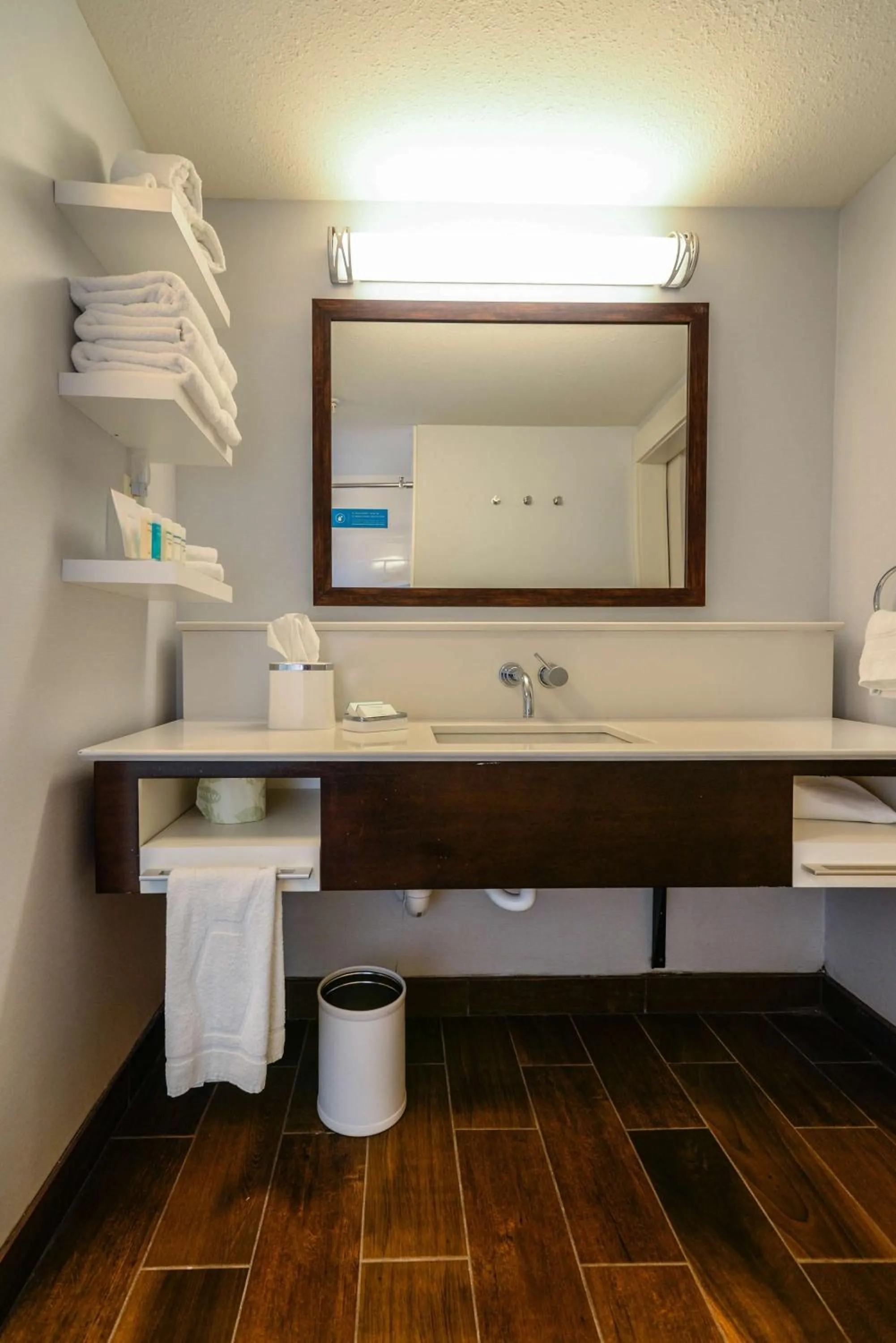 Bathroom in Hampton Inn Brighton Mi